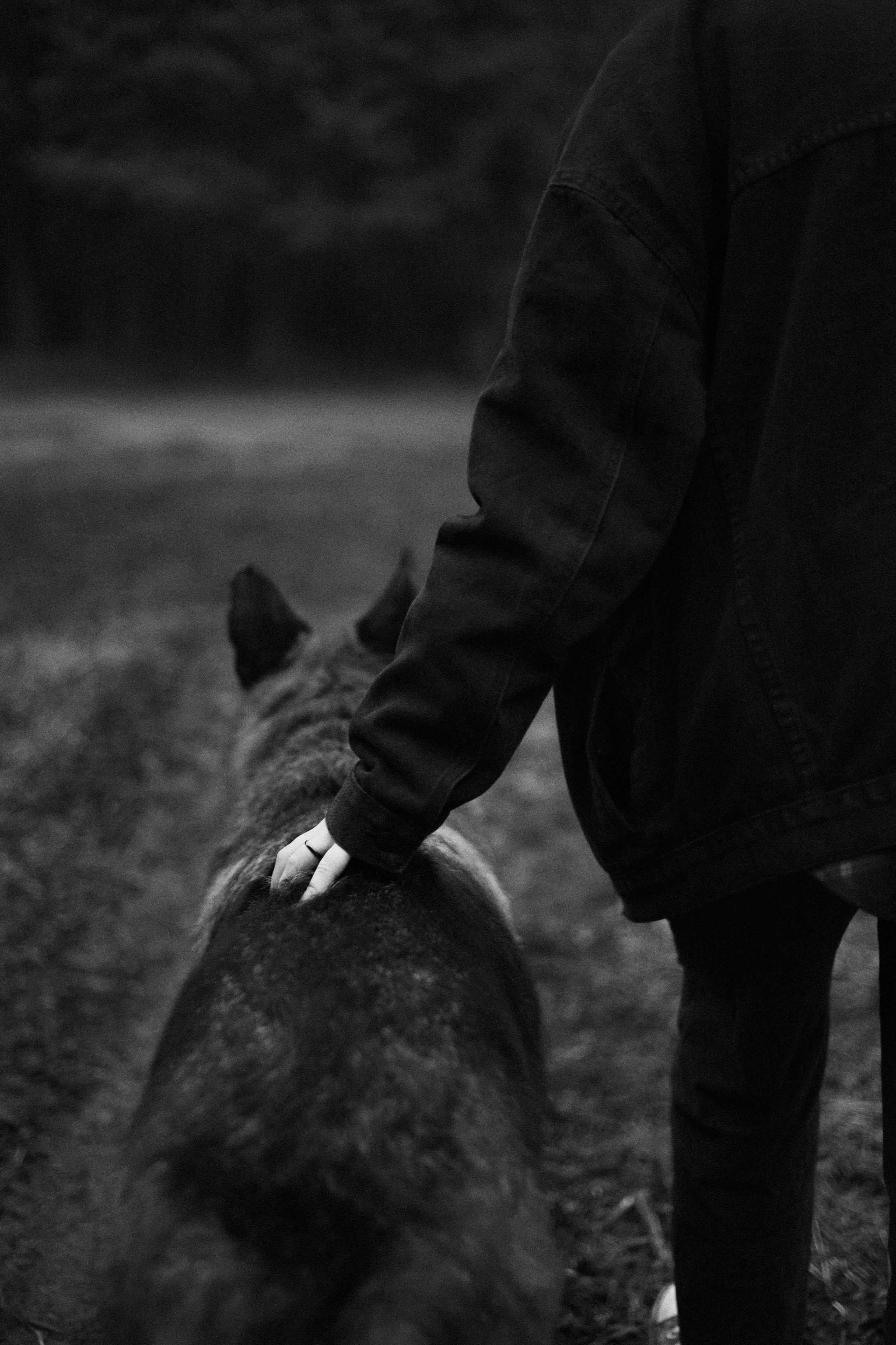 Лера и Ральф. Фотограф-анималист Богданова Полина