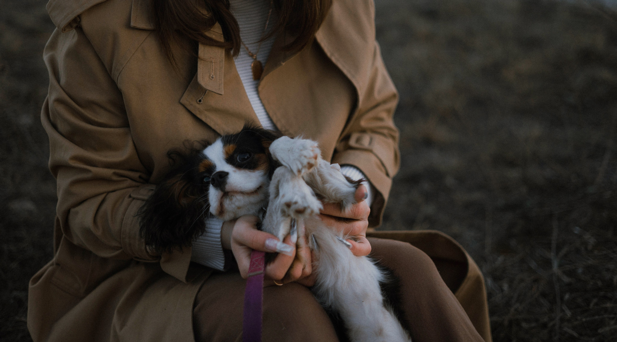Ангелина и Йен. Фотограф-анималист Богданова Полина