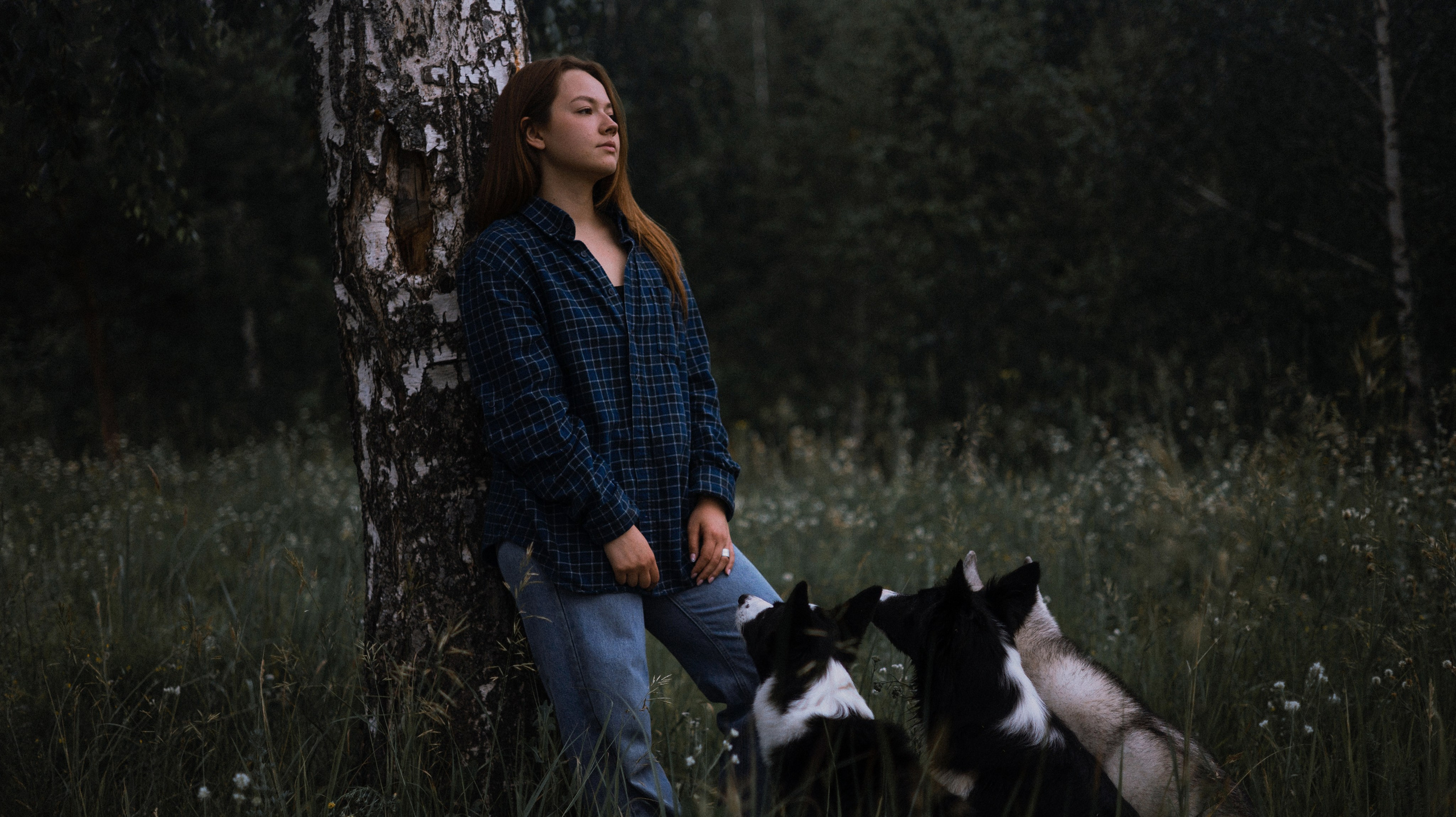 Аделя, Вандер, Шайна и Бая. Фотограф-анималист Богданова Полина