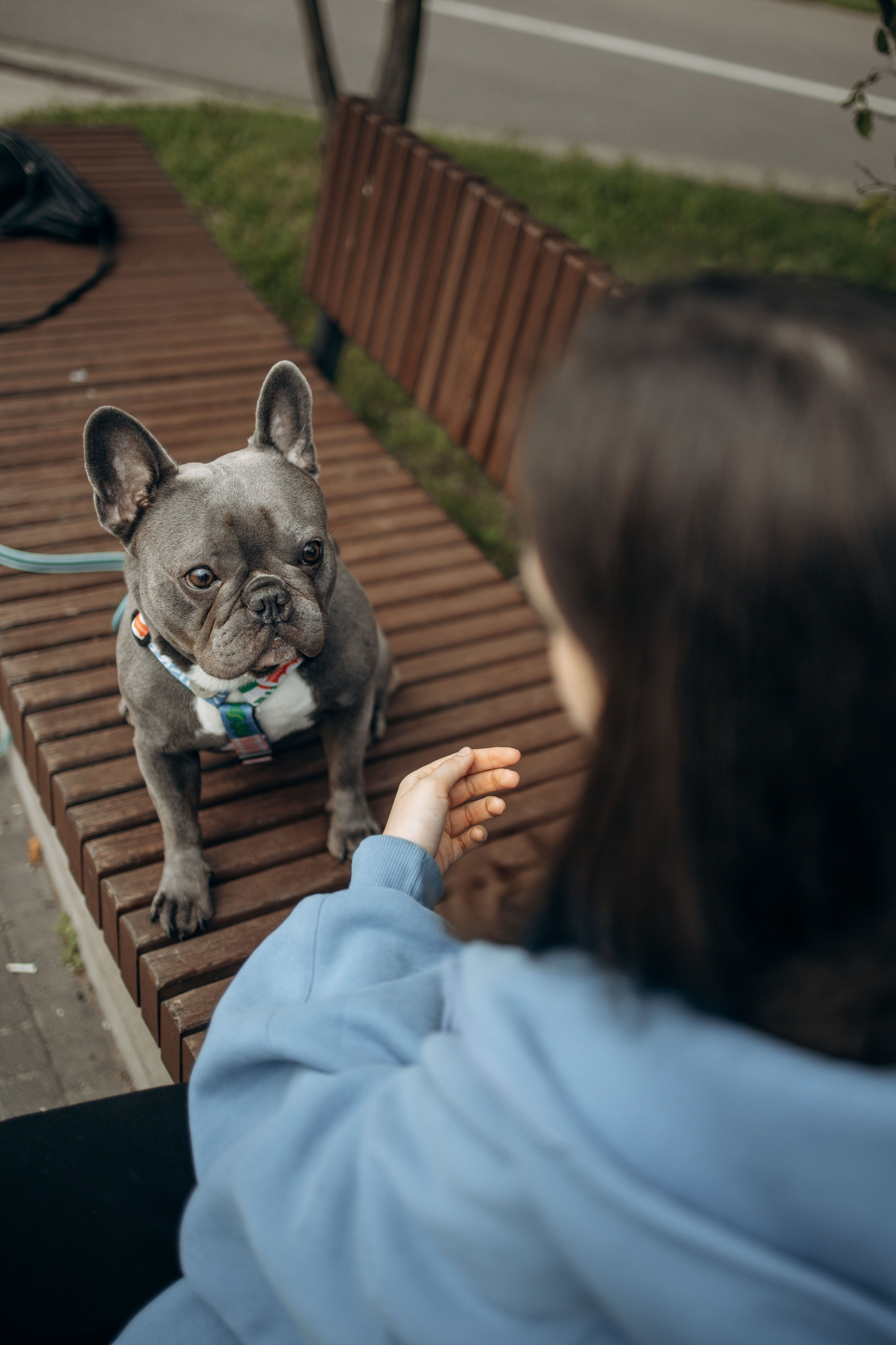 Грей и его семья