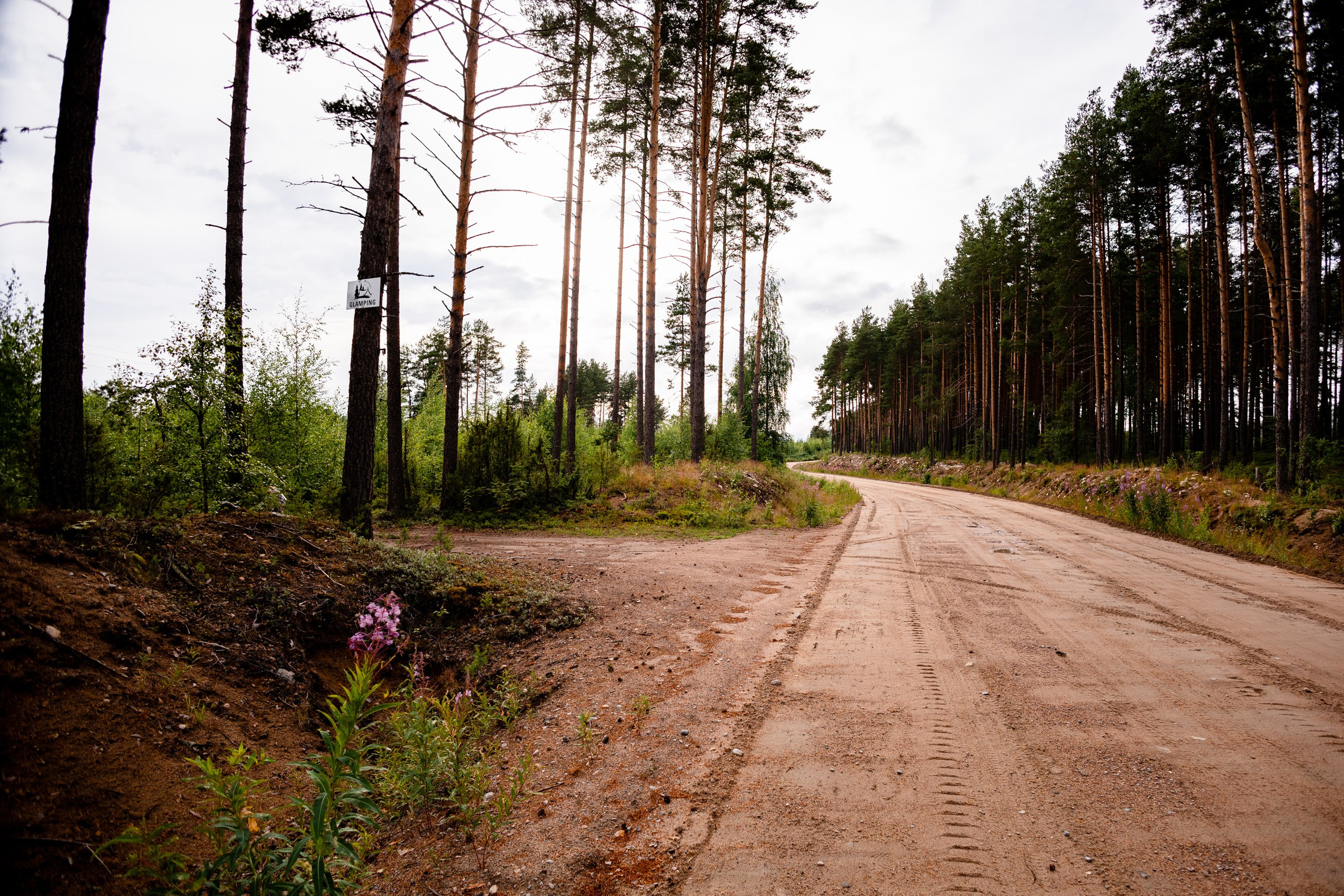 Глэмпинг LampiCamp (Карелия). Павел Шарапов | Фотограф | Москва