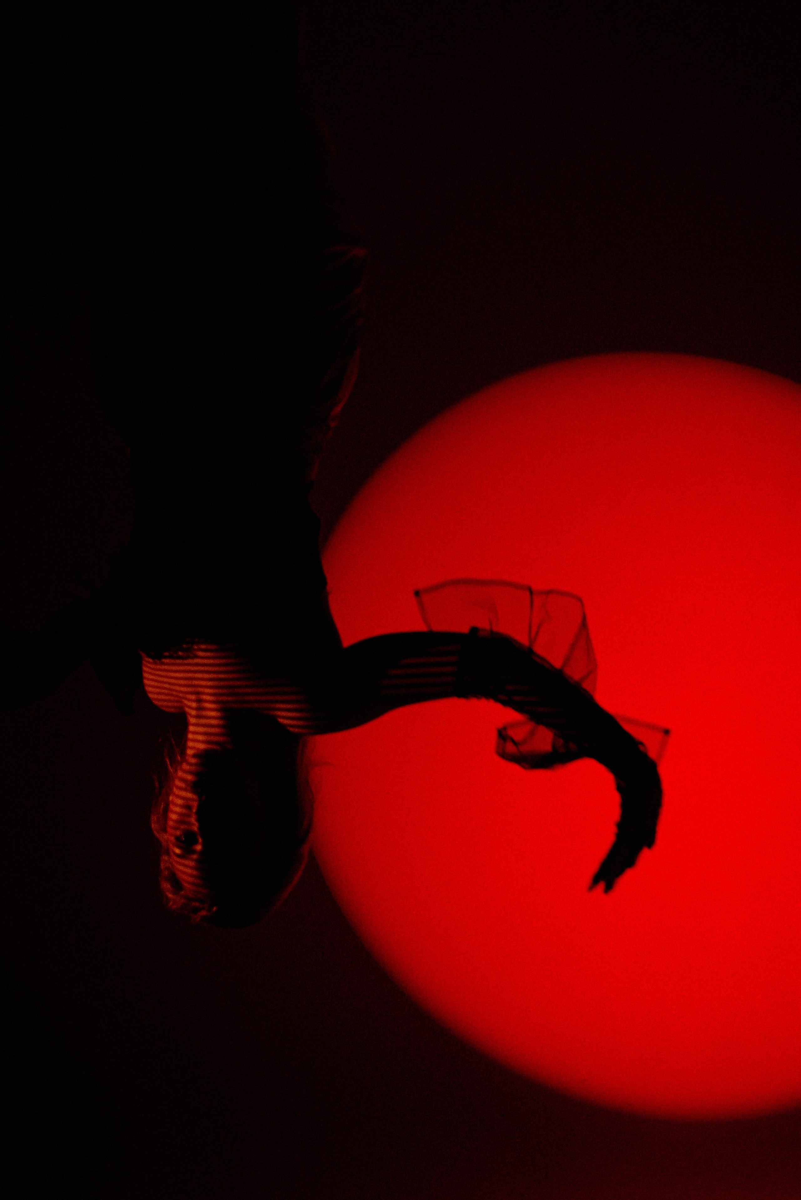 Эвелина. Семейный и детский фотограф Иваново Ксения Азаренкова