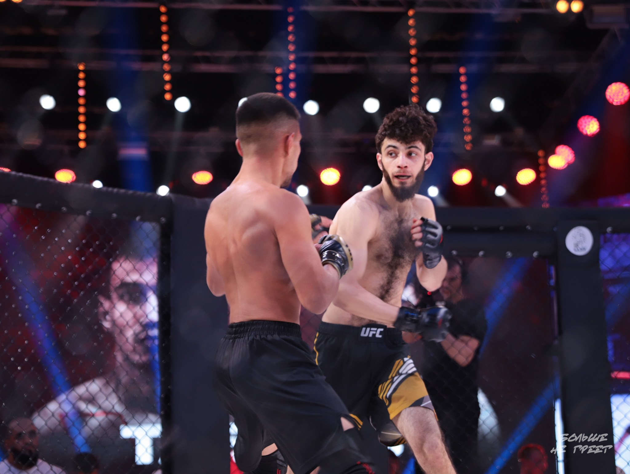 SABR FIGHTING. Больше не греет