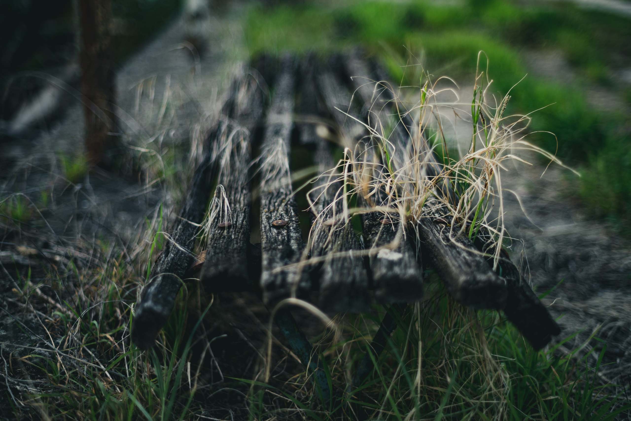 Железнодорожная пустошь