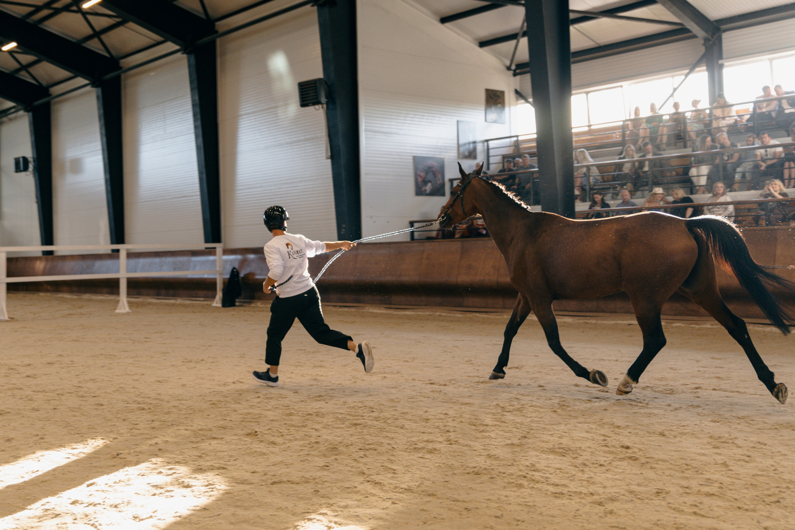 Аукцион. Фотограф Москва Софа Ревчук