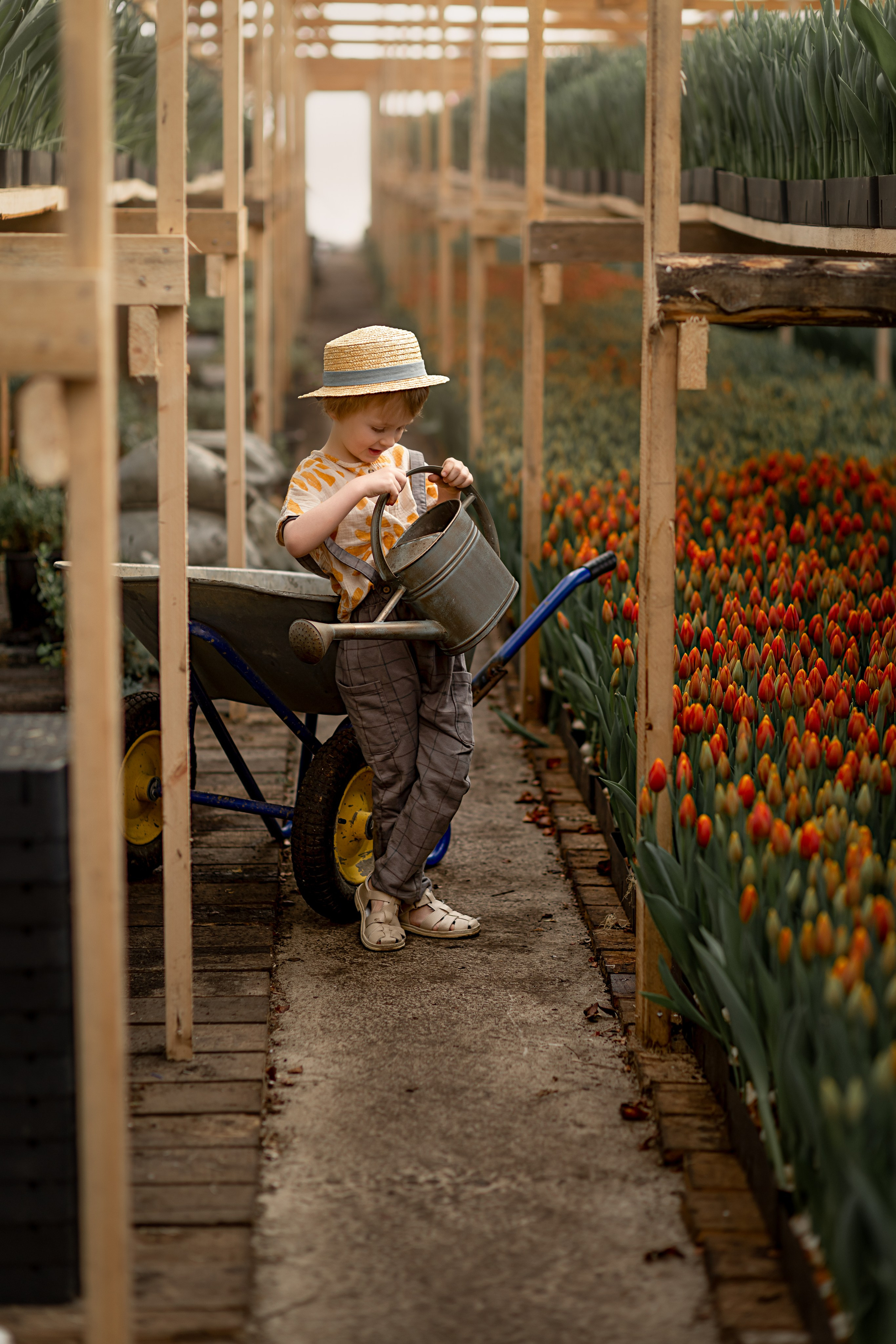 В теплице. Детский и семейный фотограф в Красноярске Елена Коровкина
