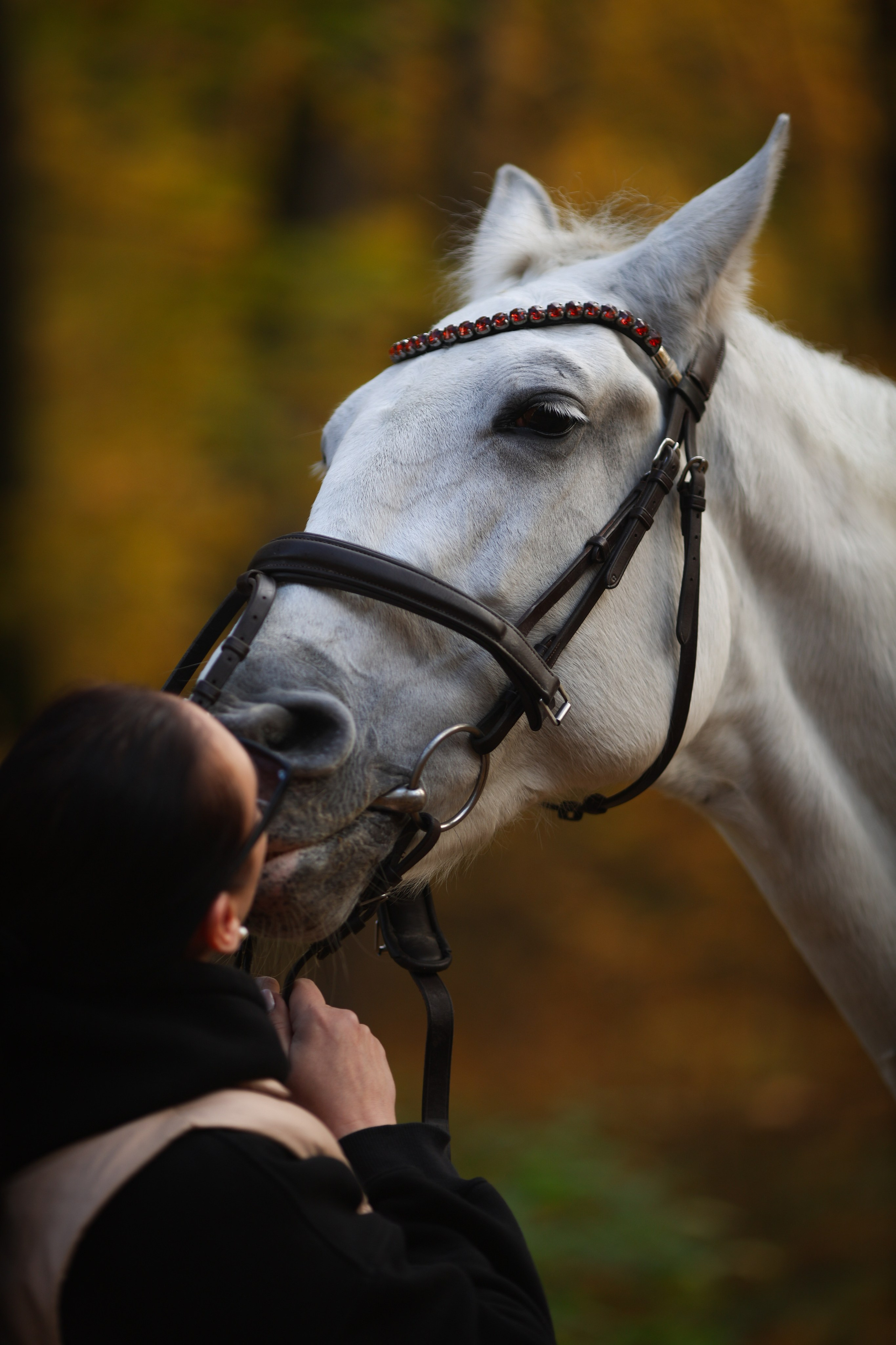 Фотосессия с животными. Фотограф Алина Рошаль. С 2017 года ловлю эмоции и превращаю их в нежные воспоминания для вас в Москве и Подмосковье