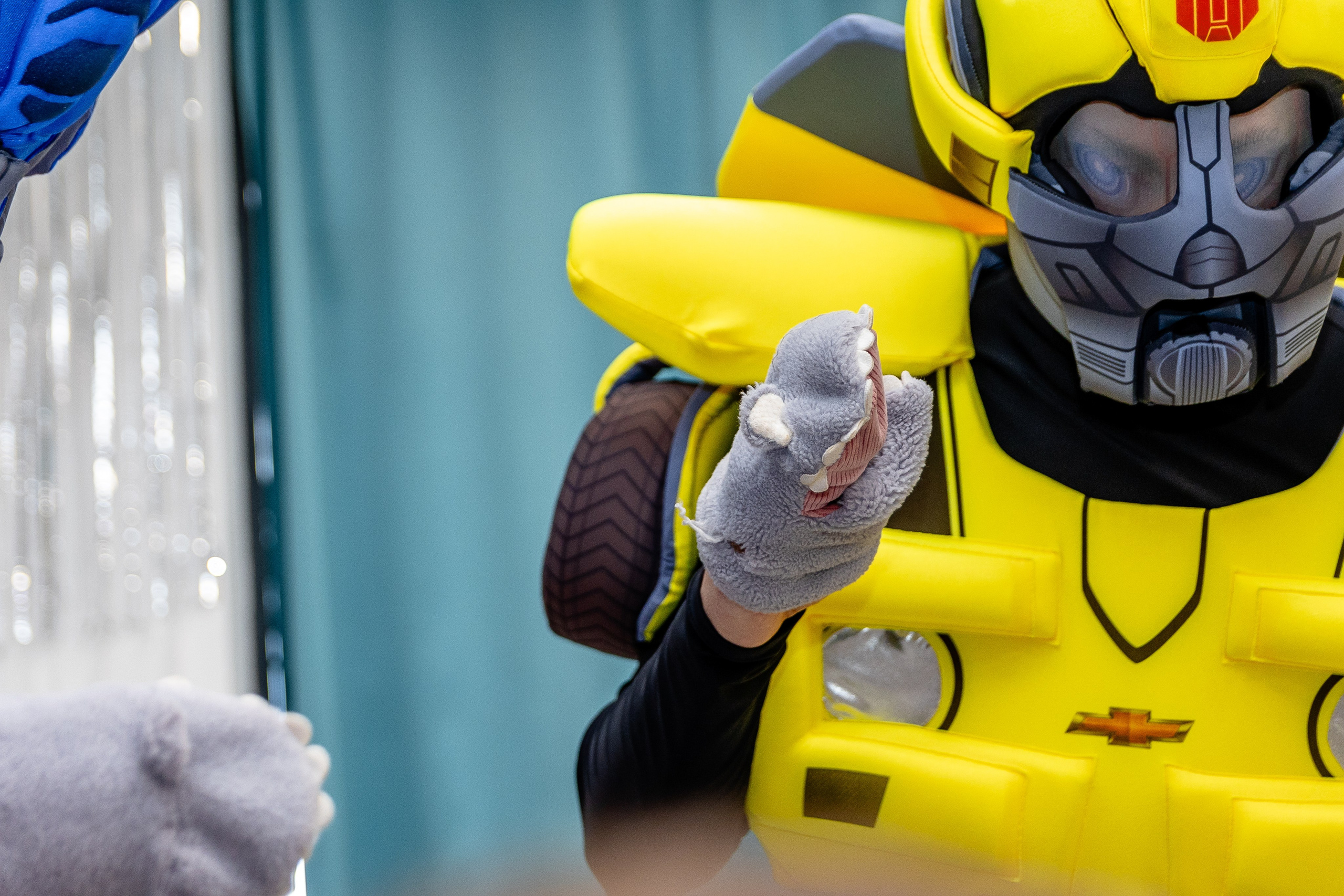 Авокадо. Фотограф Елена Медок Калининград