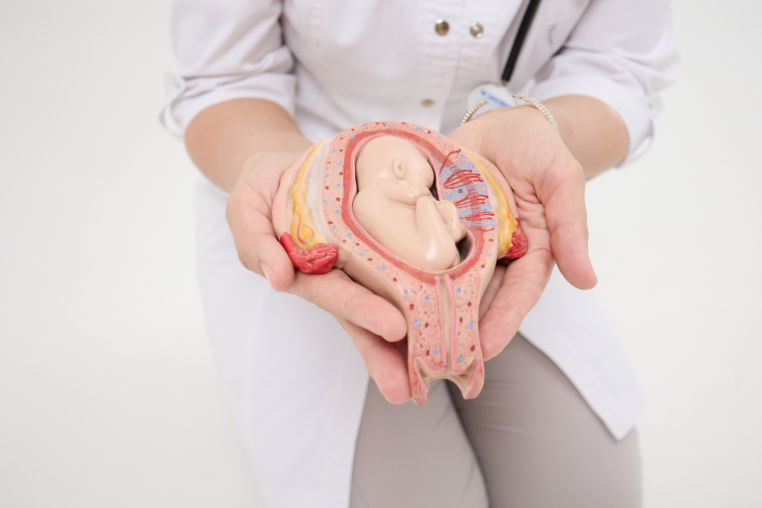 Медицина. Свадебный, репортажный фотограф в Тюмени Сергей Тапилин