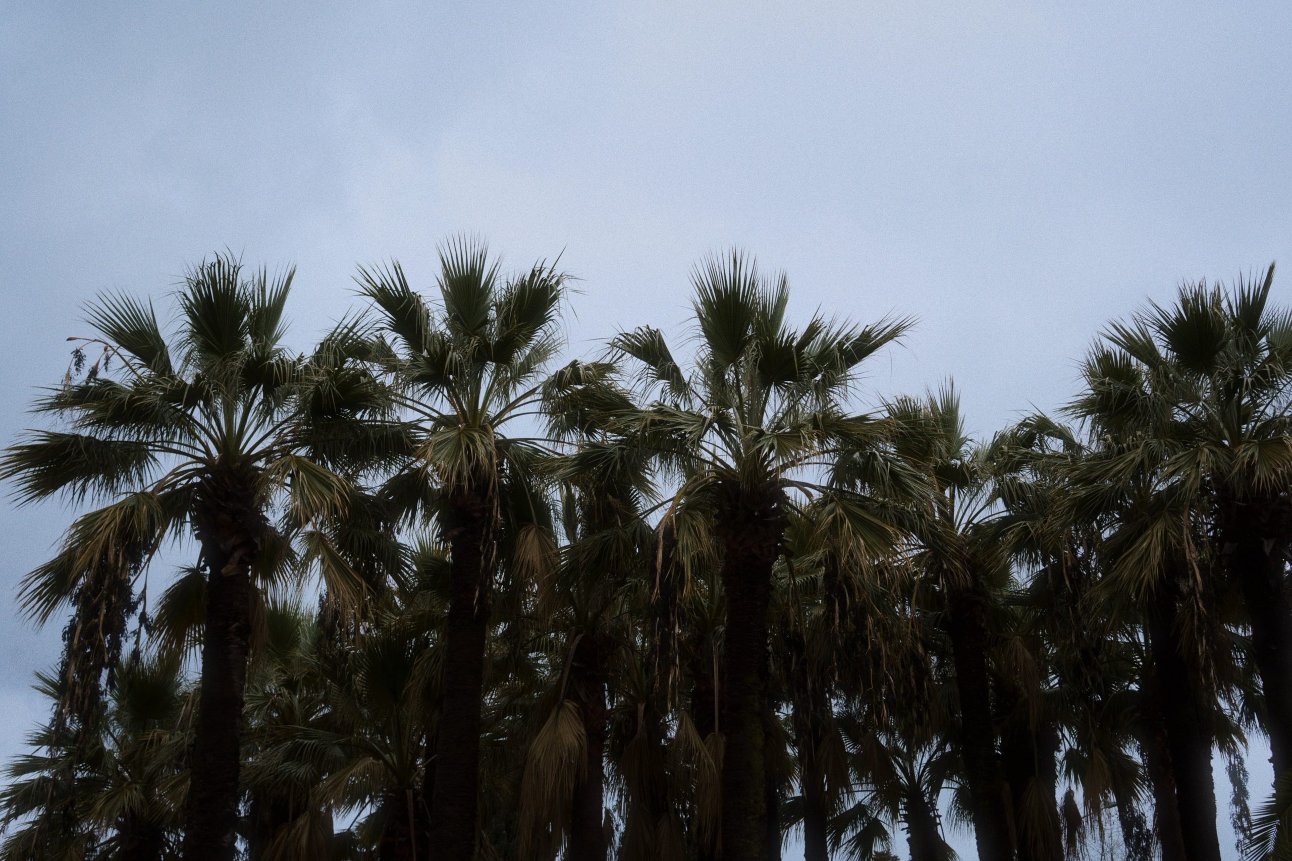 Sochi port (morskaya). Фотограф Юрин Евгений