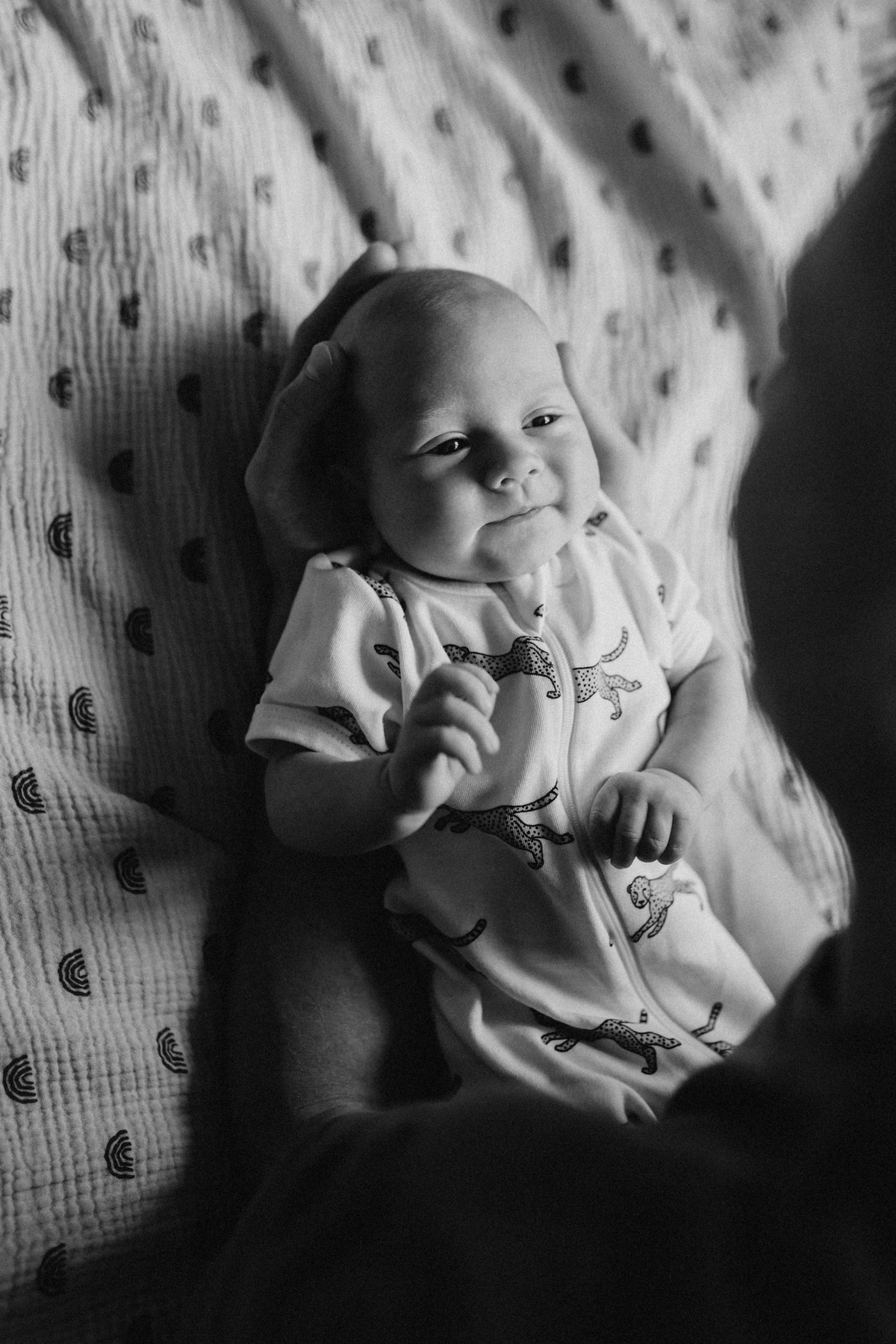 Лев🤎. Фотограф на роды в Санкт-Петербурге, семейный, нью-борн Алиса Хрекова