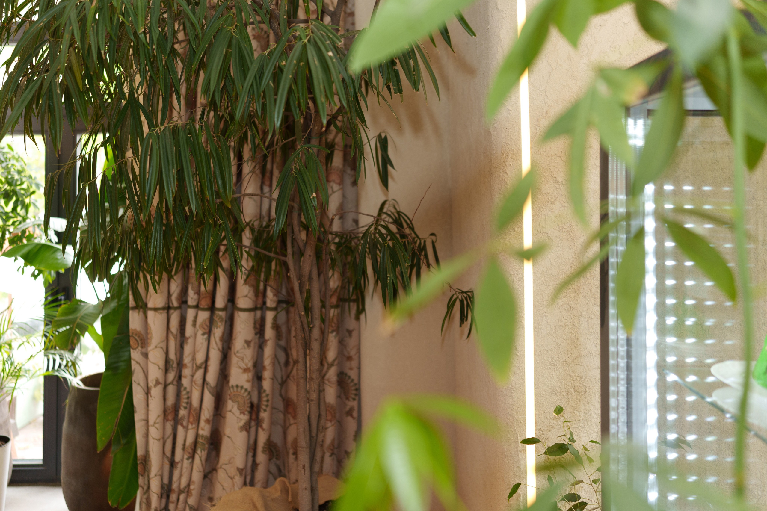 Бизнес завтрак. Профессиональная съемка в Алматы