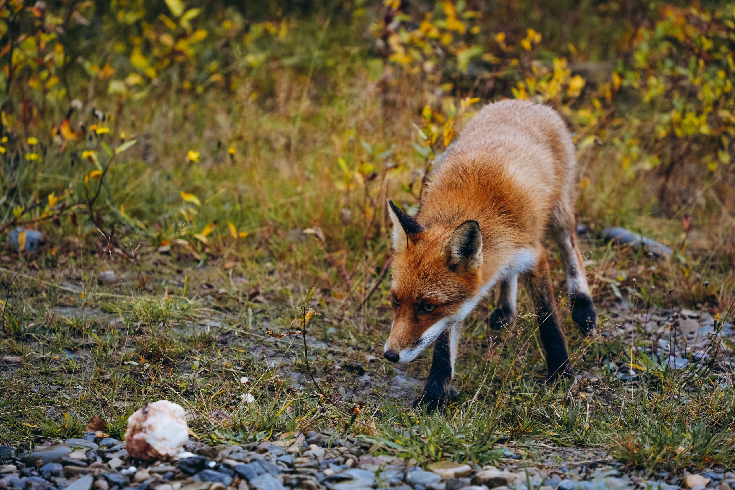 СЕВЕР. Event фотограф Степанова Александра