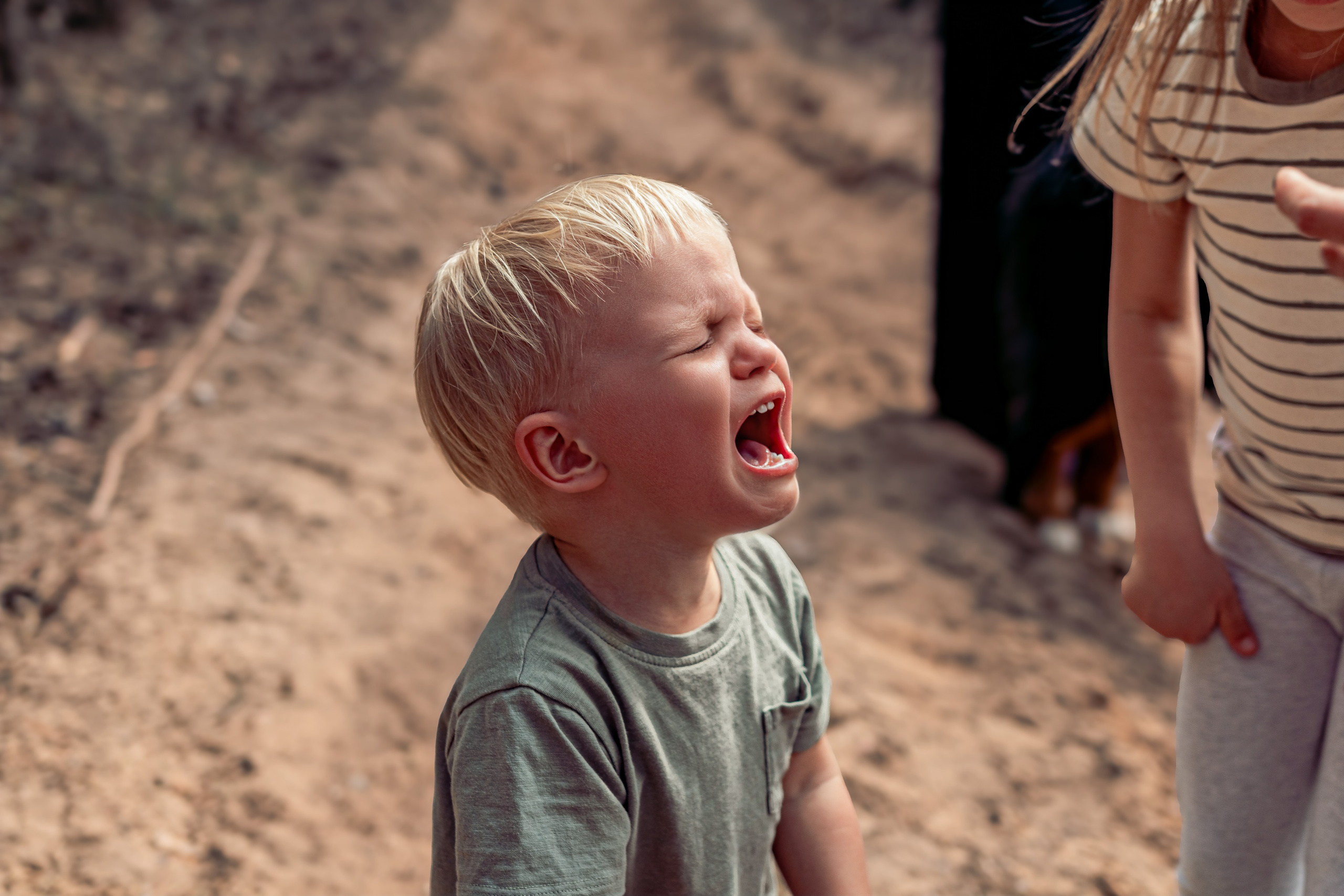 Семейная фотосессия в лесу