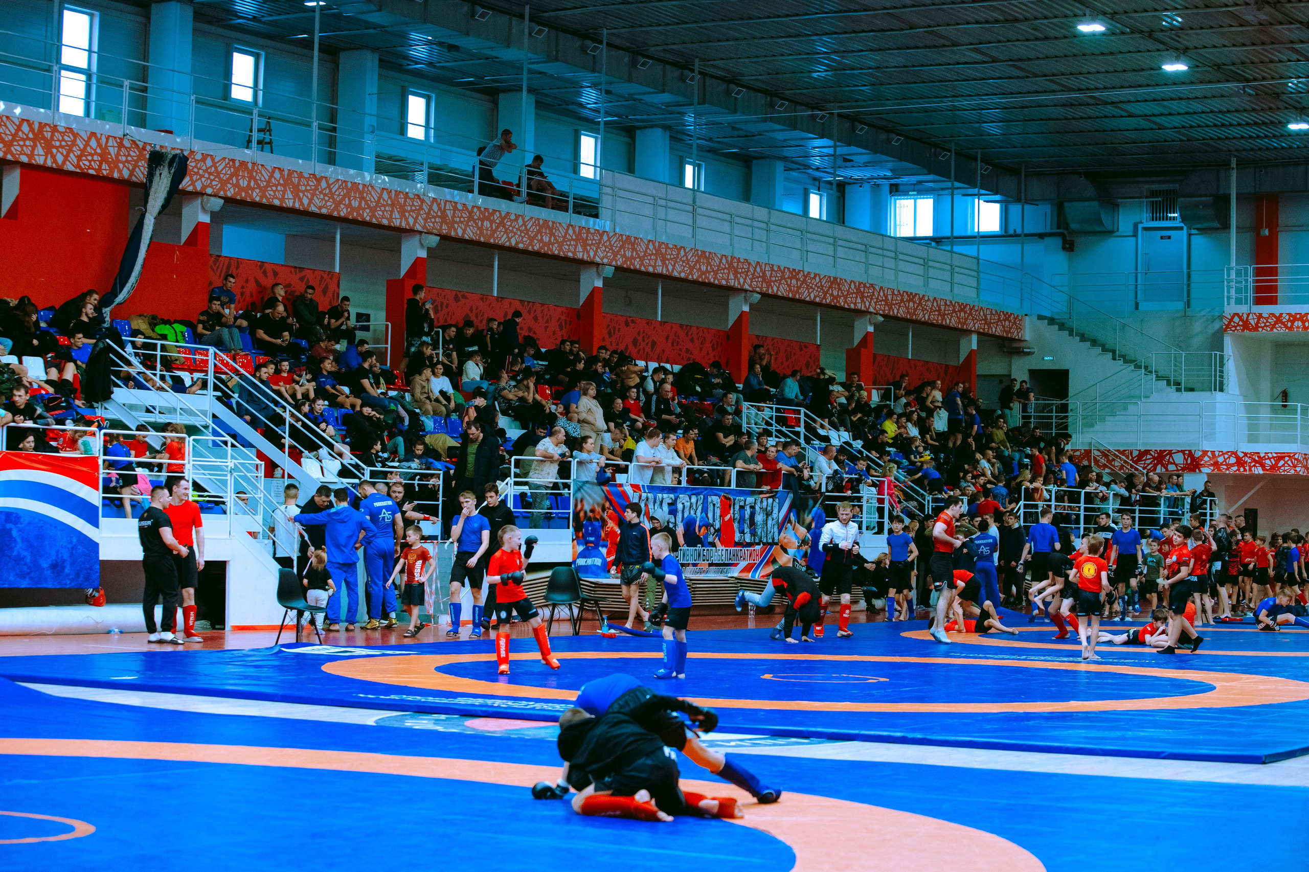 Кубок России по спортивной борьбе панкратион `23. Портретный фотограф в Москве Дарья Цезария