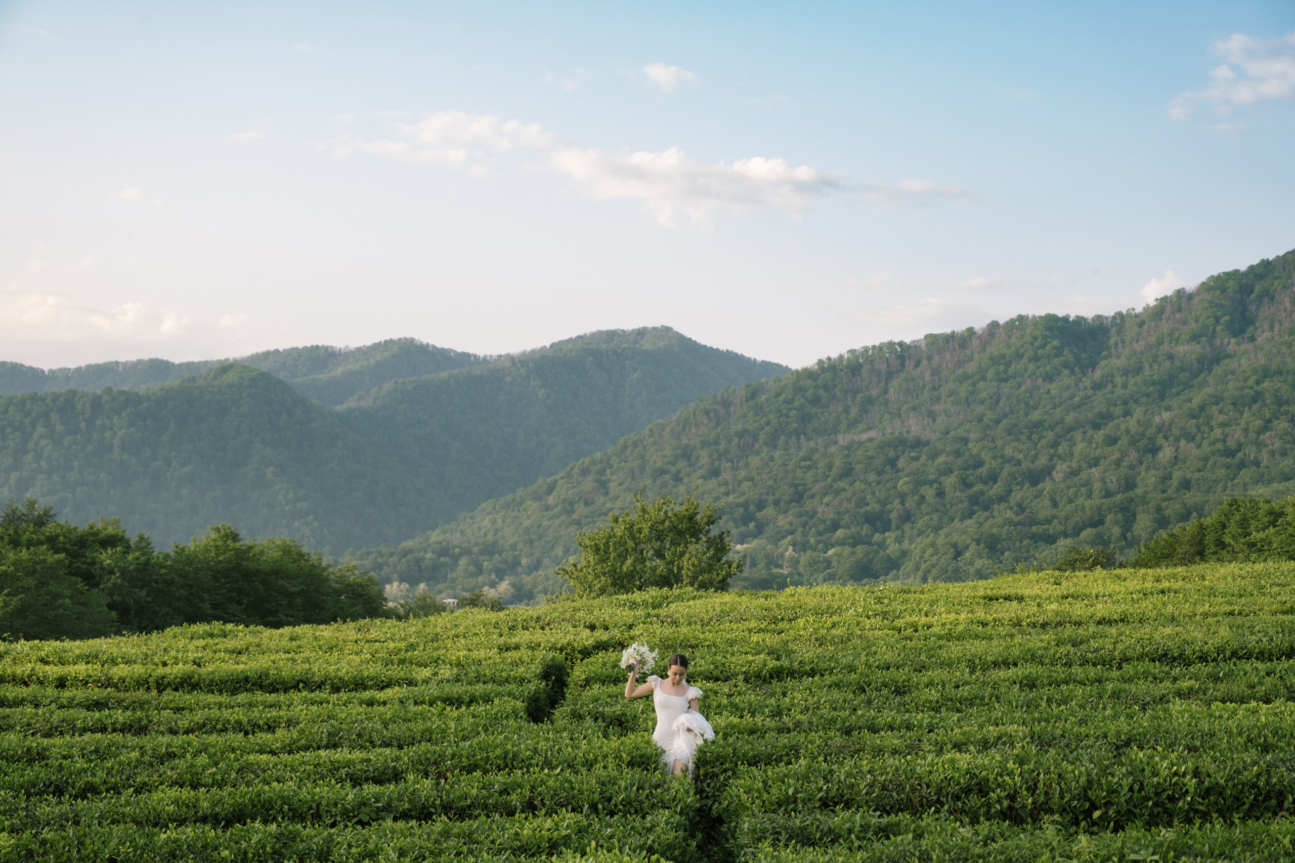 Маленькая Италия. Свадебный Видеограф Фотограф в Сочи