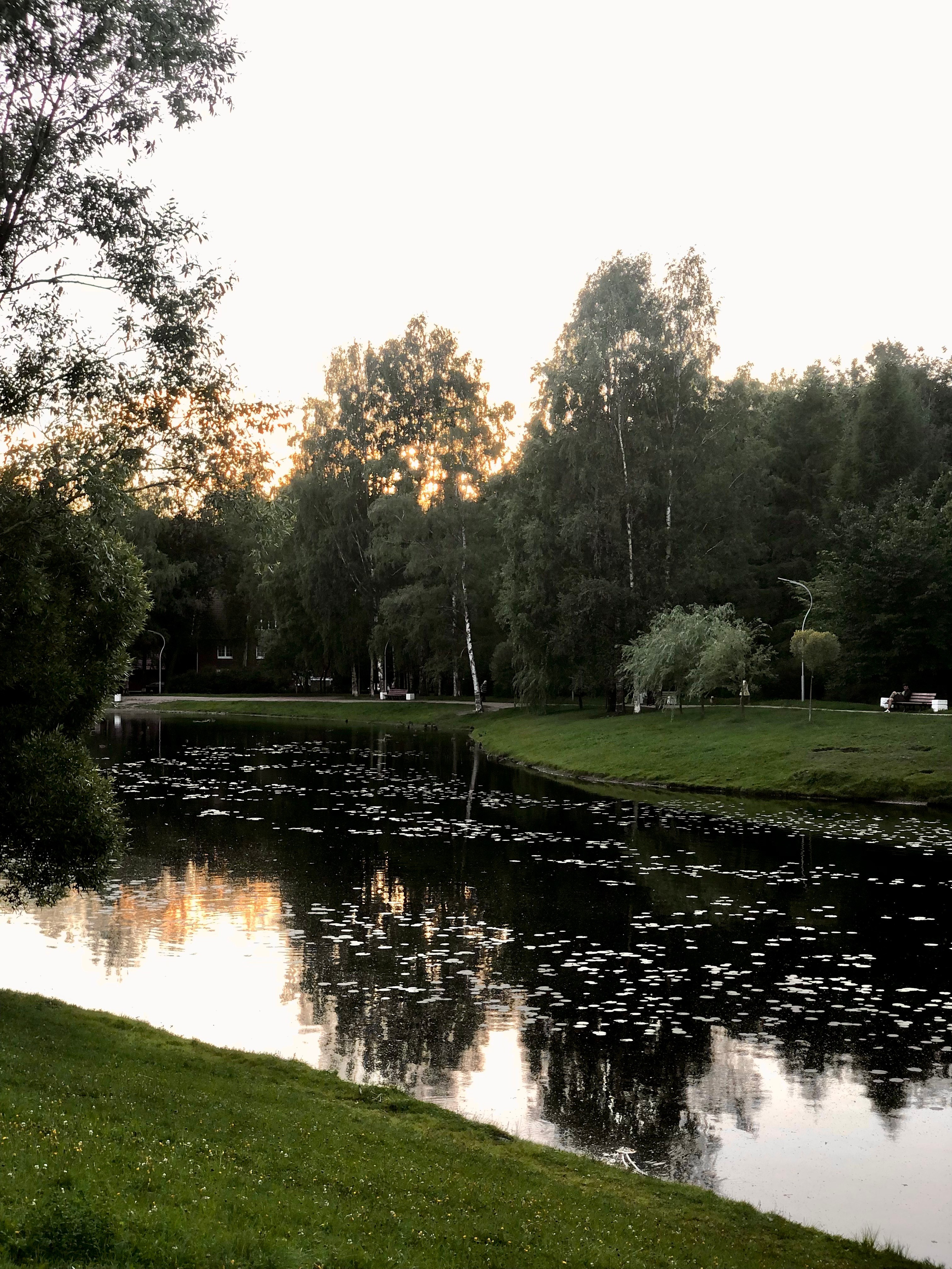 Август. Семейный, Свадебный фотограф СПБ Питер— Романова Екатерина