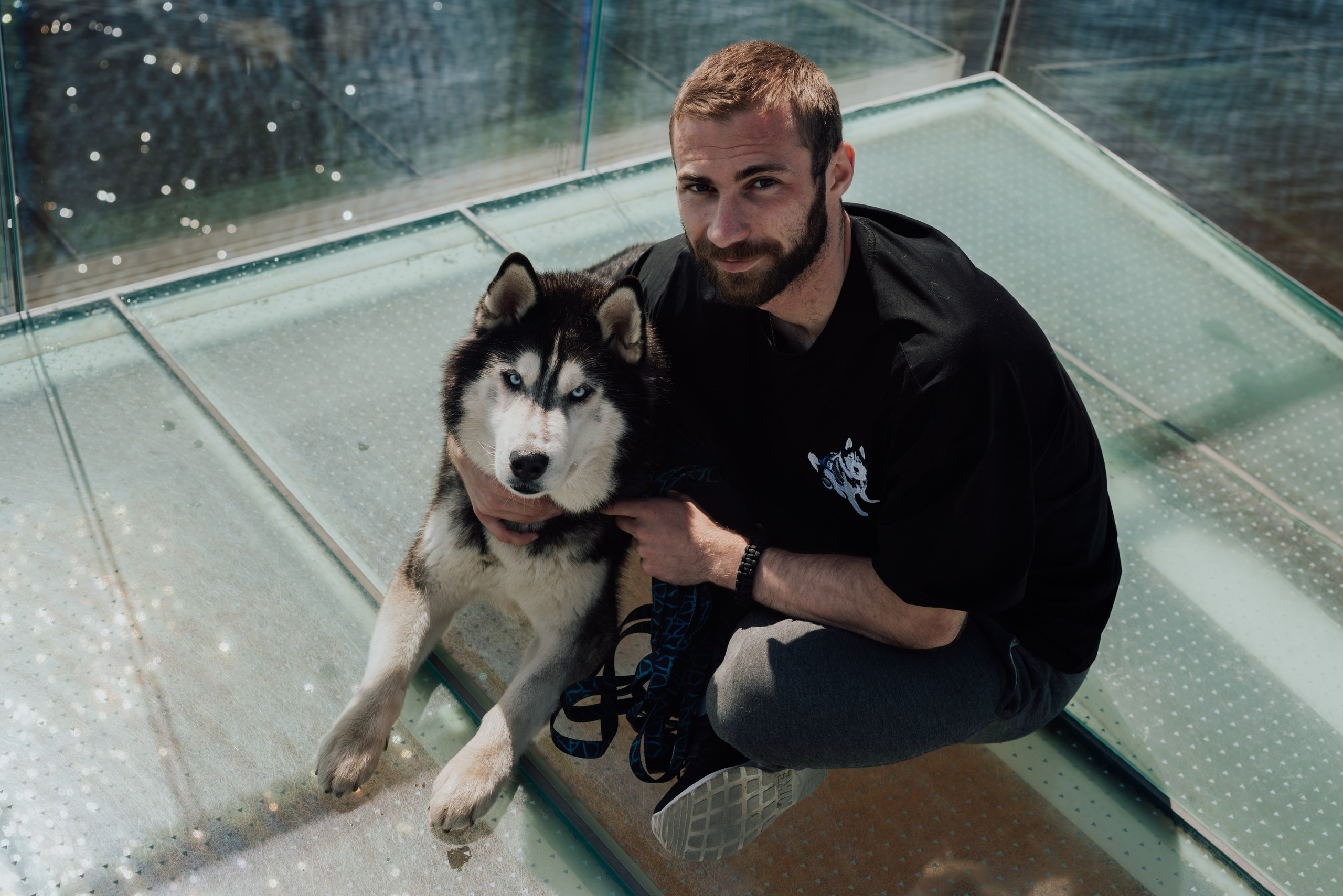 Фотодень с хаски. Фотограф в Санкт-Петербурге и Ленинградской области