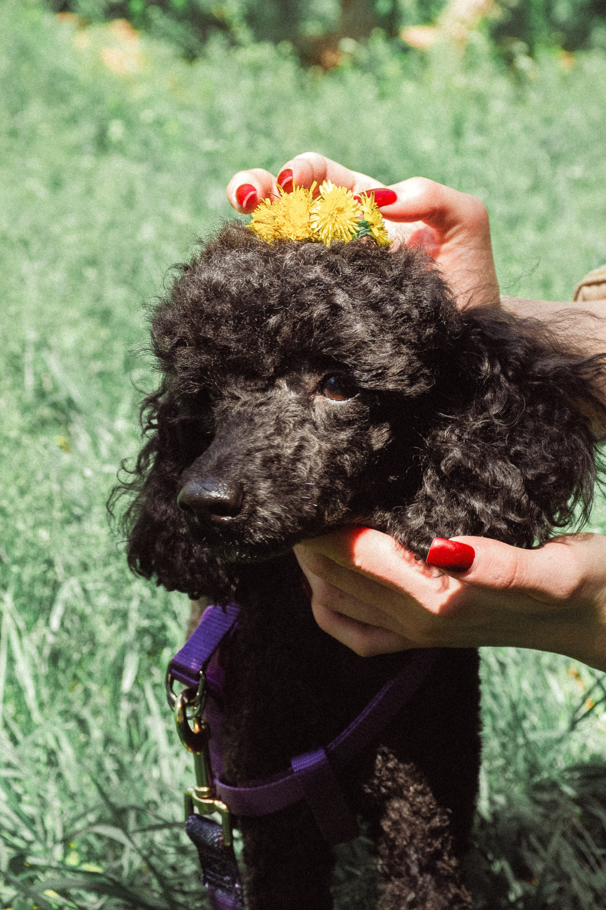 Валерия. Анастасия — фотограф в Волжском и Волгограде