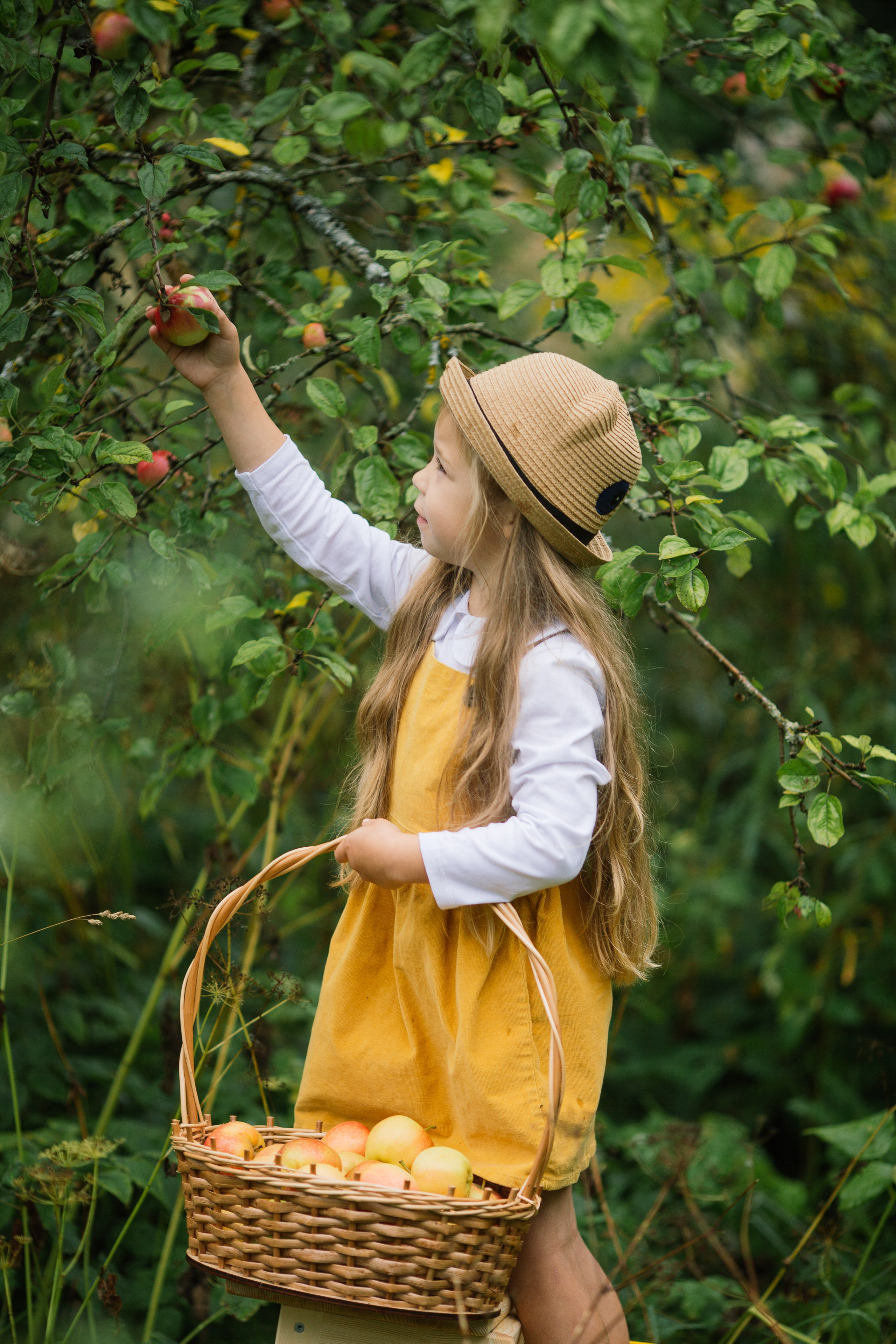 Яблочный фотодень. Семейный фотограф Толстикова Кристина