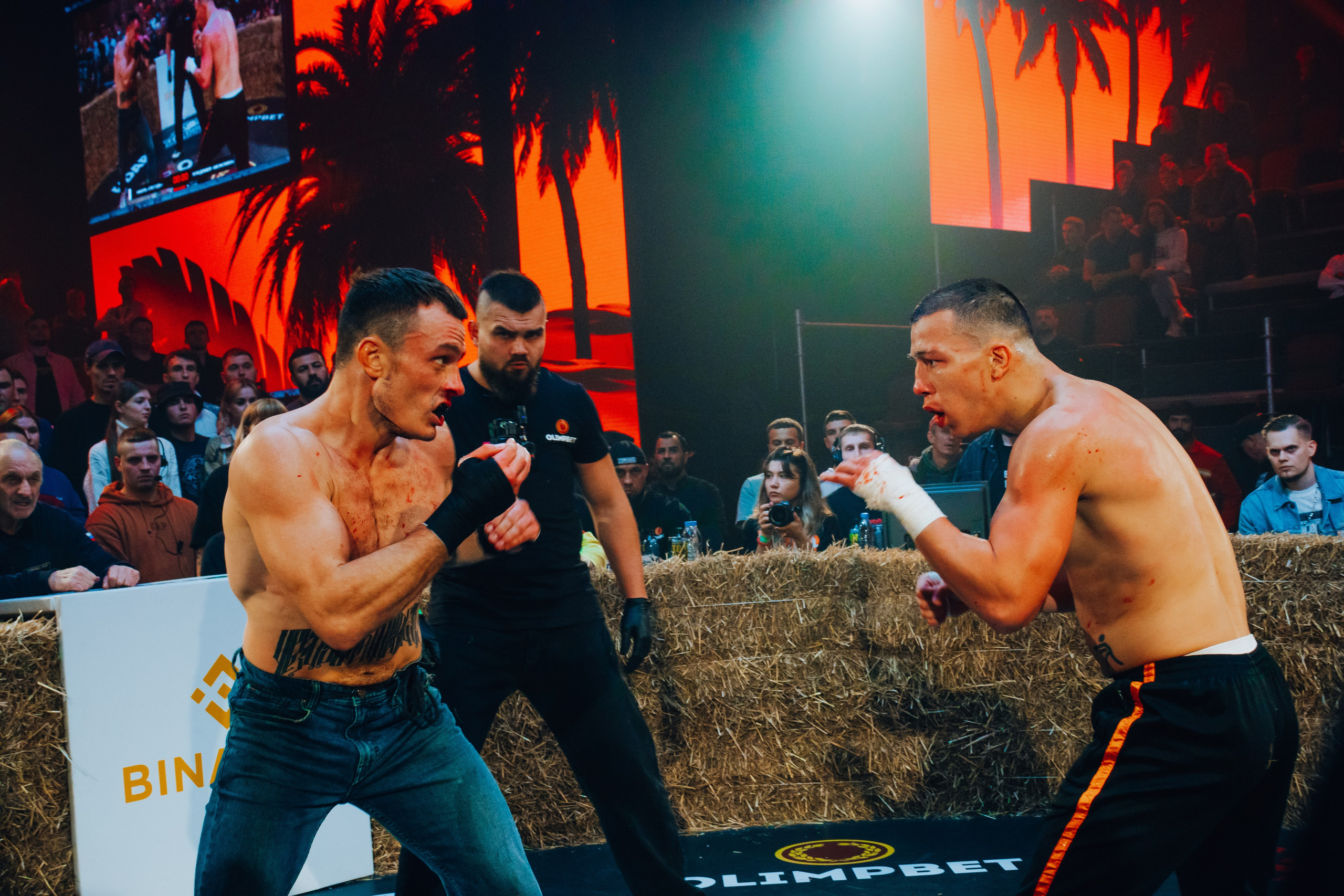 Кулачные бои TopDog. Анастасия Тен