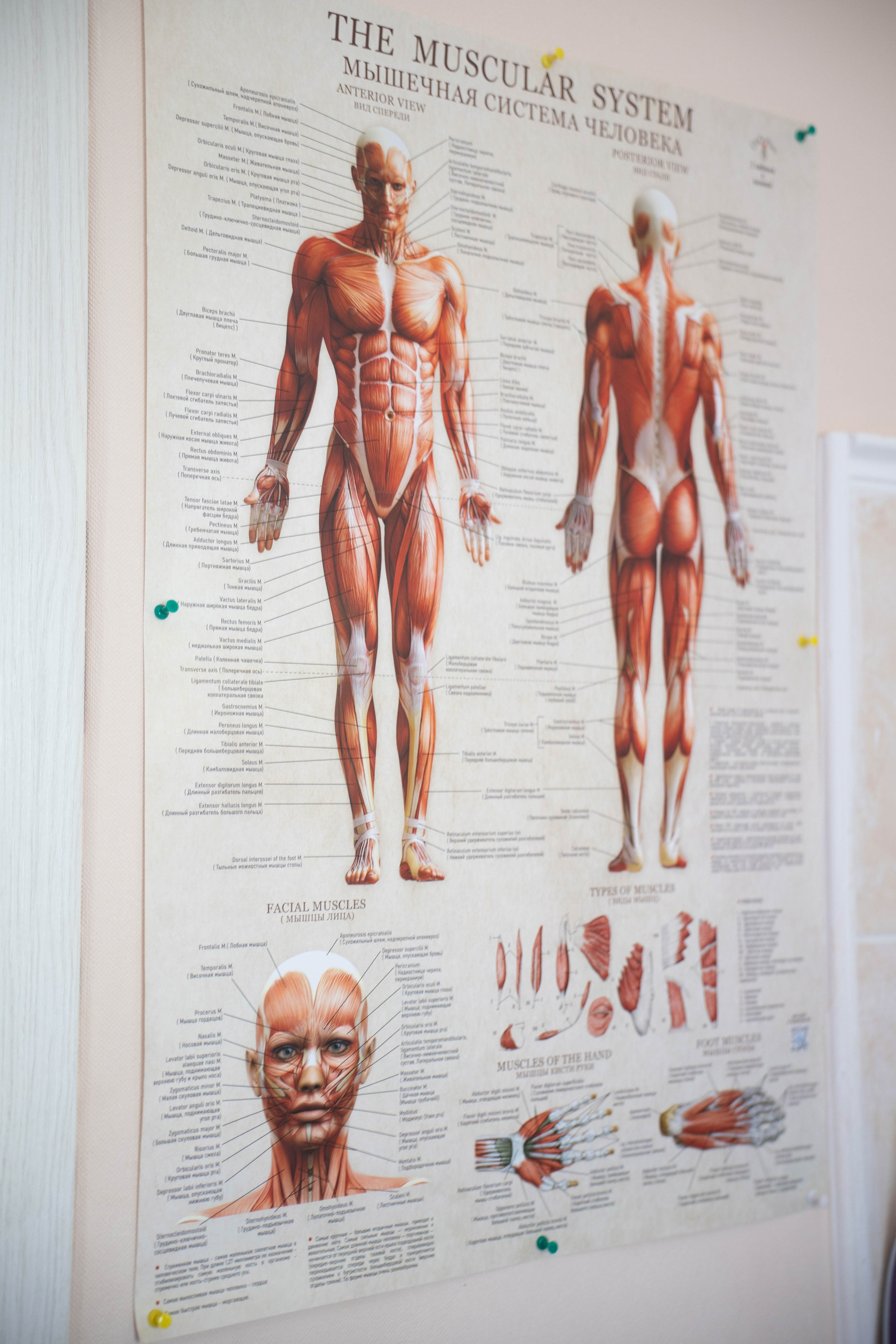 Фотосессия «Репортаж». Фотограф в Крыму Татьяна Барицкая ЕНОТИКА