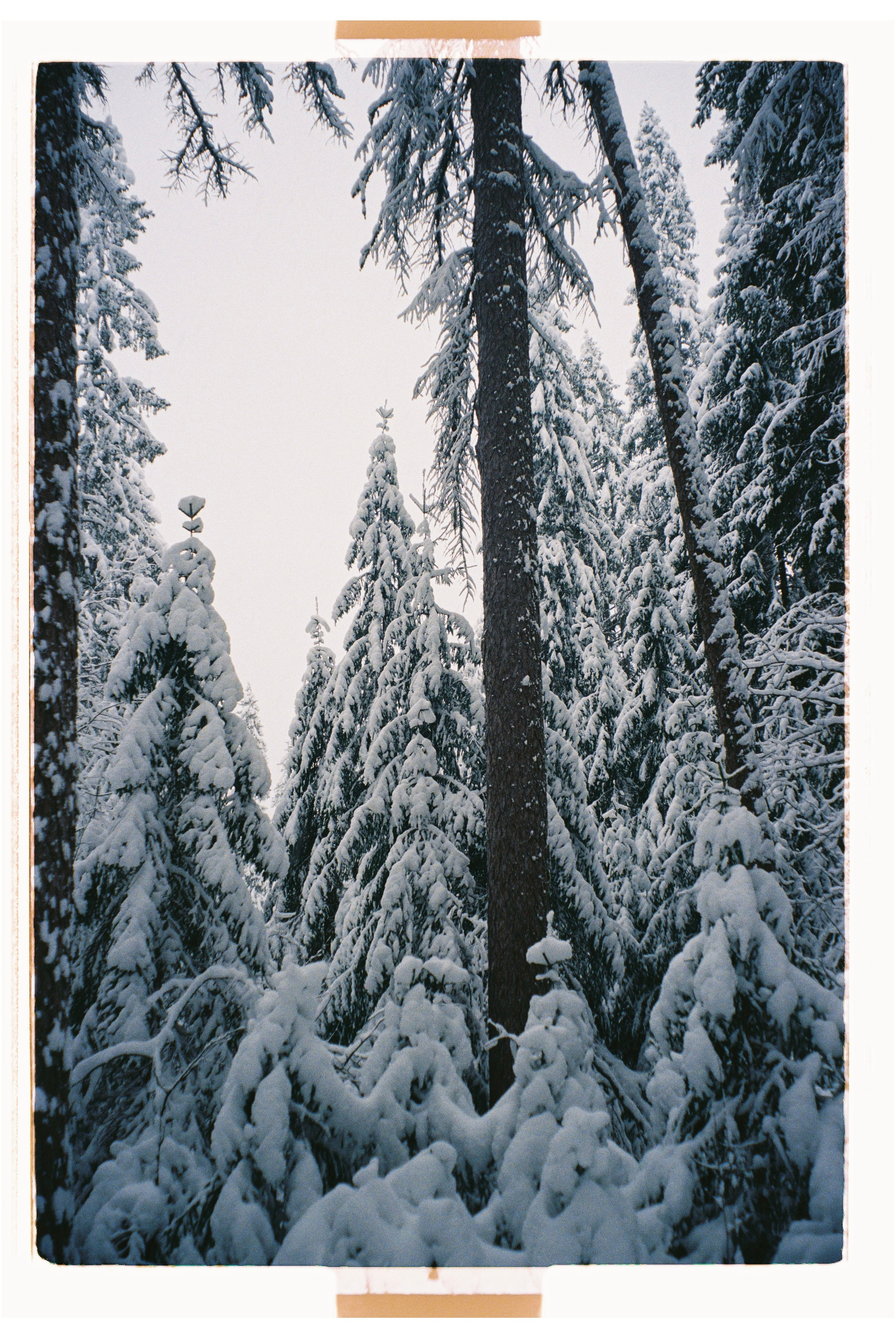 Всякие картинки