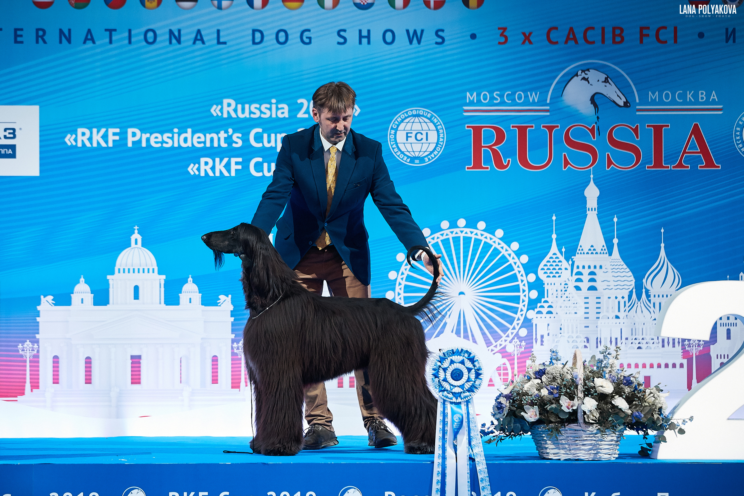 Интернациональные выставки собак (3 x CACIB FCI) «Россия 2019» (квалификация на Crufts),"Кубок Президента РКФ 2019″ и «Кубок РКФ 2019» 2−4 ноября 2019 года Москва, МВЦ «Крокус Экспо», пав. 3