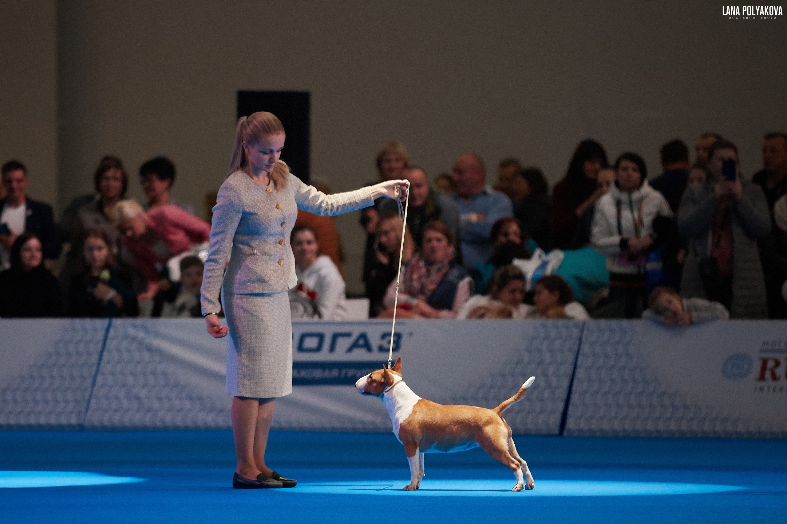 Интернациональные выставки собак (3 x CACIB FCI) «Россия 2019» (квалификация на Crufts),"Кубок Президента РКФ 2019″ и «Кубок РКФ 2019» 2−4 ноября 2019 года Москва, МВЦ «Крокус Экспо», пав. 3