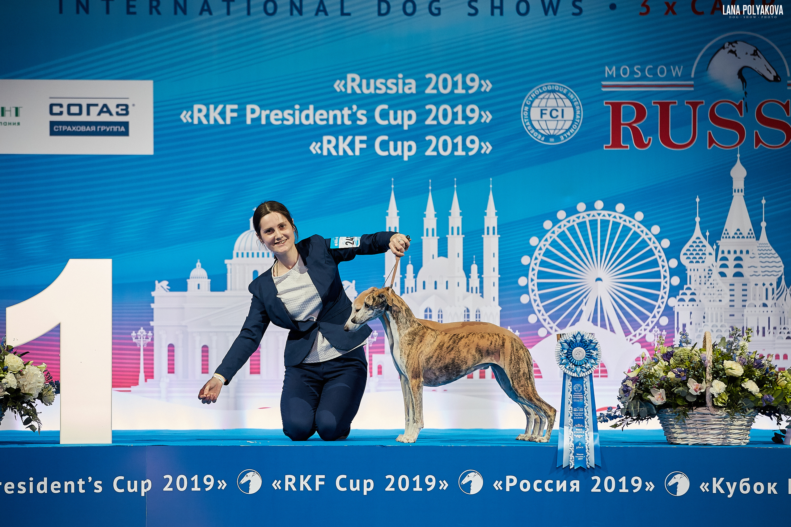 Интернациональные выставки собак (3 x CACIB FCI) «Россия 2019» (квалификация на Crufts),"Кубок Президента РКФ 2019″ и «Кубок РКФ 2019» 2−4 ноября 2019 года Москва, МВЦ «Крокус Экспо», пав. 3