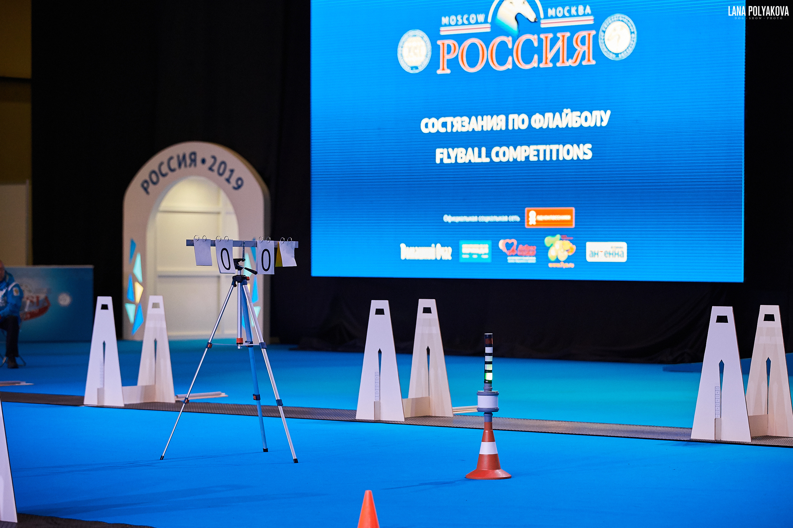 Интернациональные выставки собак (3 x CACIB FCI) «Россия 2019» (квалификация на Crufts),"Кубок Президента РКФ 2019″ и «Кубок РКФ 2019» 2−4 ноября 2019 года Москва, МВЦ «Крокус Экспо», пав. 3