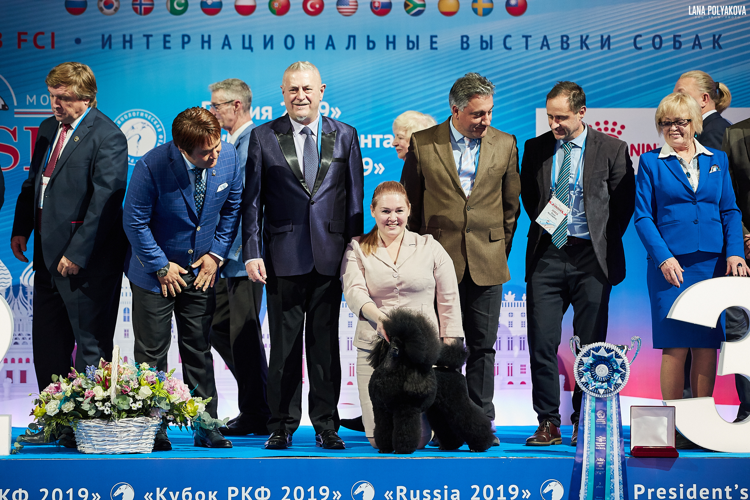 Интернациональные выставки собак (3 x CACIB FCI) «Россия 2019» (квалификация на Crufts),"Кубок Президента РКФ 2019″ и «Кубок РКФ 2019» 2−4 ноября 2019 года Москва, МВЦ «Крокус Экспо», пав. 3