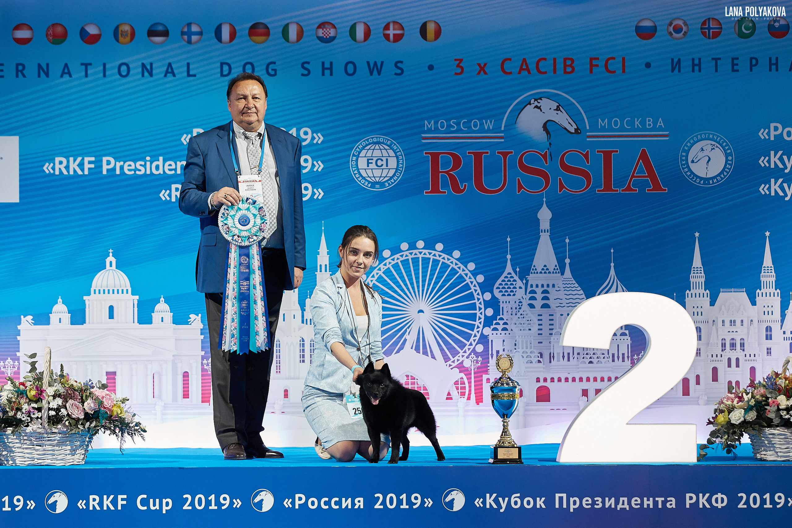 Интернациональные выставки собак (3 x CACIB FCI) «Россия 2019» (квалификация на Crufts),"Кубок Президента РКФ 2019″ и «Кубок РКФ 2019» 2−4 ноября 2019 года Москва, МВЦ «Крокус Экспо», пав. 3 Фотограф: Лана Полякова