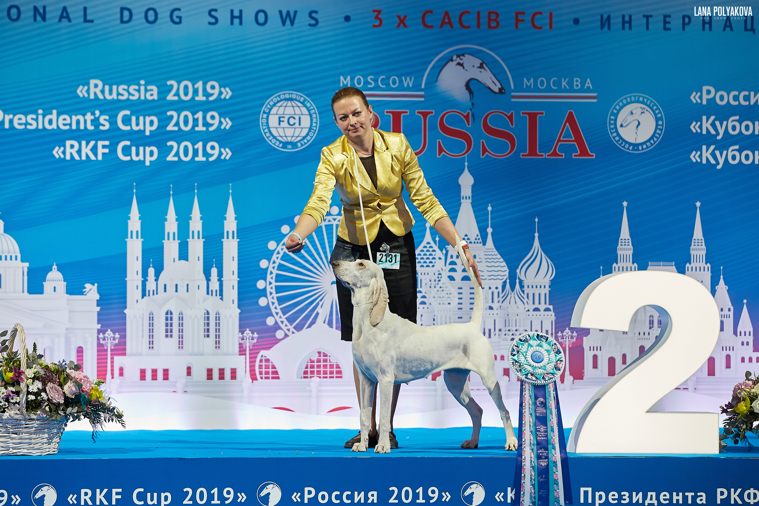 Интернациональные выставки собак (3 x CACIB FCI) «Россия 2019» (квалификация на Crufts),"Кубок Президента РКФ 2019″ и «Кубок РКФ 2019» 2−4 ноября 2019 года Москва, МВЦ «Крокус Экспо», пав. 3