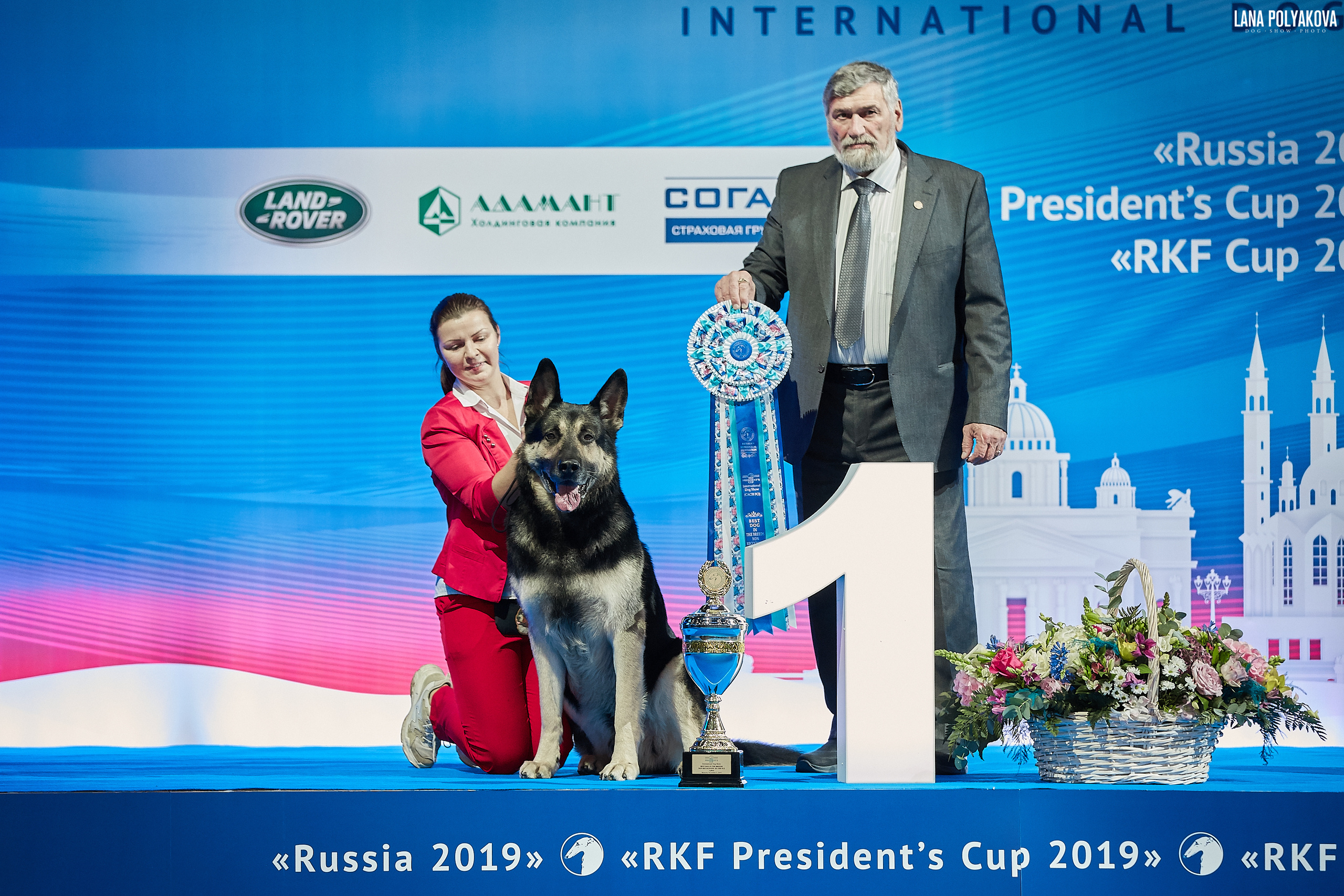 Интернациональные выставки собак (3 x CACIB FCI) «Россия 2019» (квалификация на Crufts),"Кубок Президента РКФ 2019″ и «Кубок РКФ 2019» 2−4 ноября 2019 года Москва, МВЦ «Крокус Экспо», пав. 3