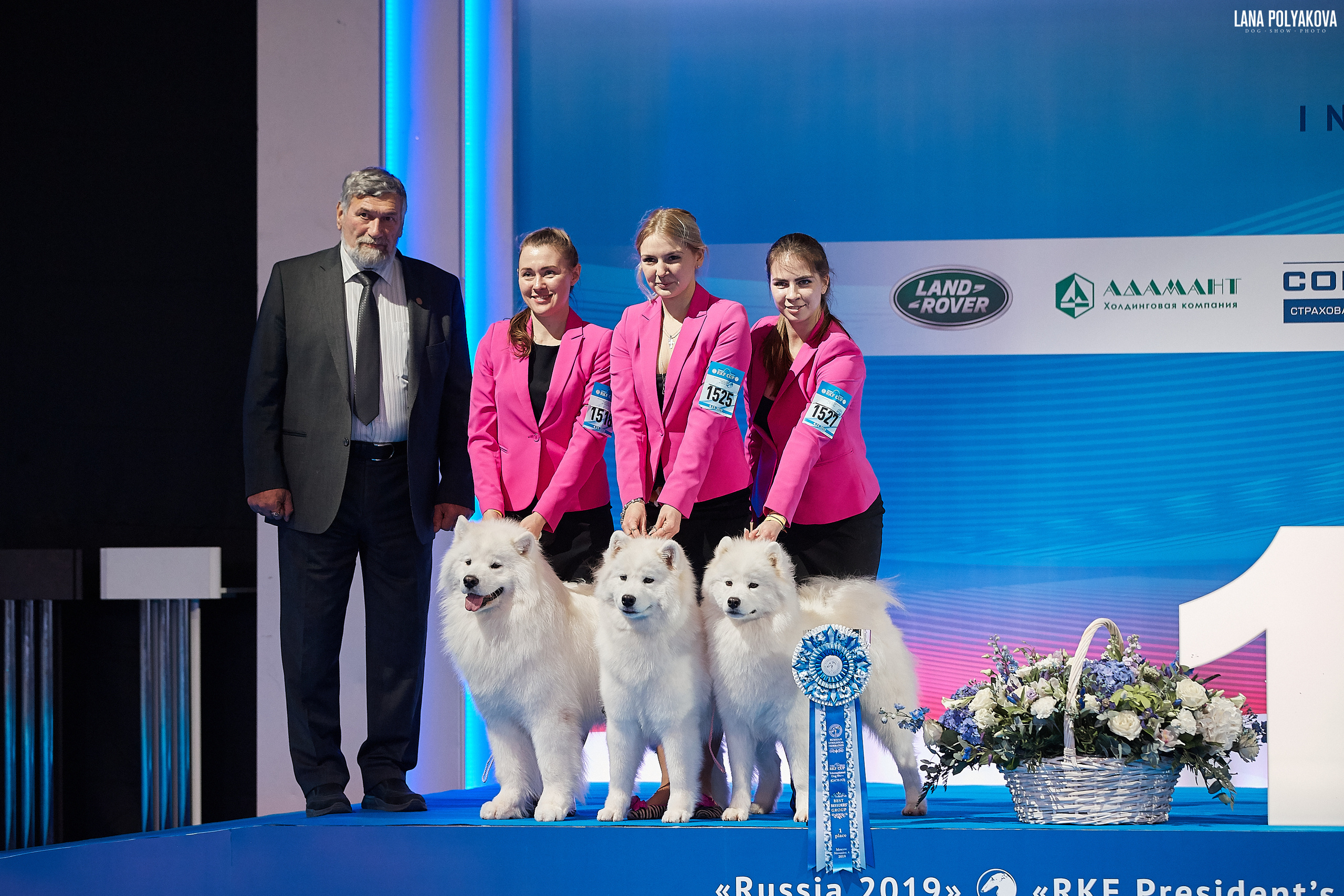 Интернациональные выставки собак (3 x CACIB FCI) «Россия 2019» (квалификация на Crufts),"Кубок Президента РКФ 2019″ и «Кубок РКФ 2019» 2−4 ноября 2019 года Москва, МВЦ «Крокус Экспо», пав. 3
