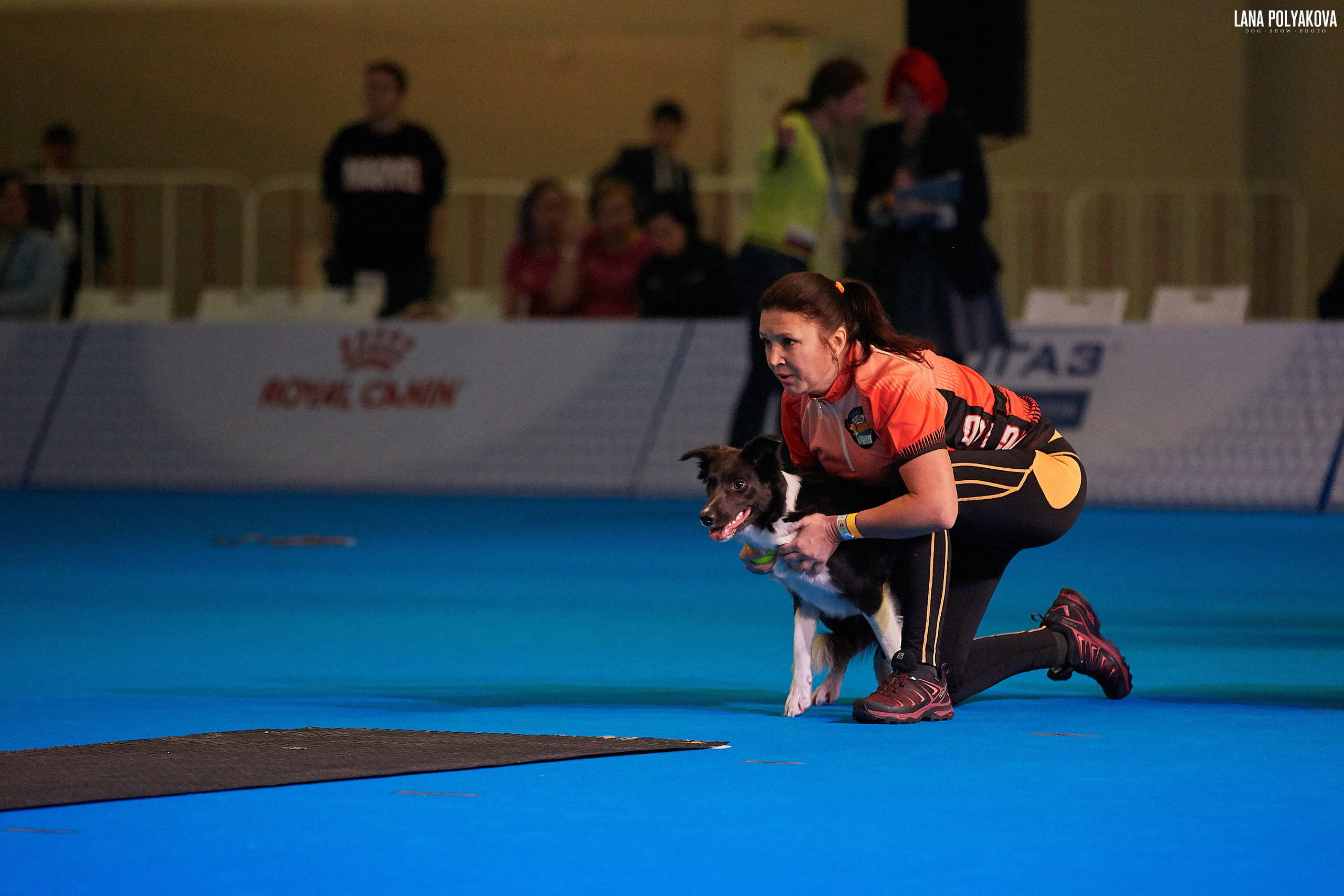 Интернациональные выставки собак (3 x CACIB FCI) «Россия 2019» (квалификация на Crufts),"Кубок Президента РКФ 2019″ и «Кубок РКФ 2019» 2−4 ноября 2019 года Москва, МВЦ «Крокус Экспо», пав. 3