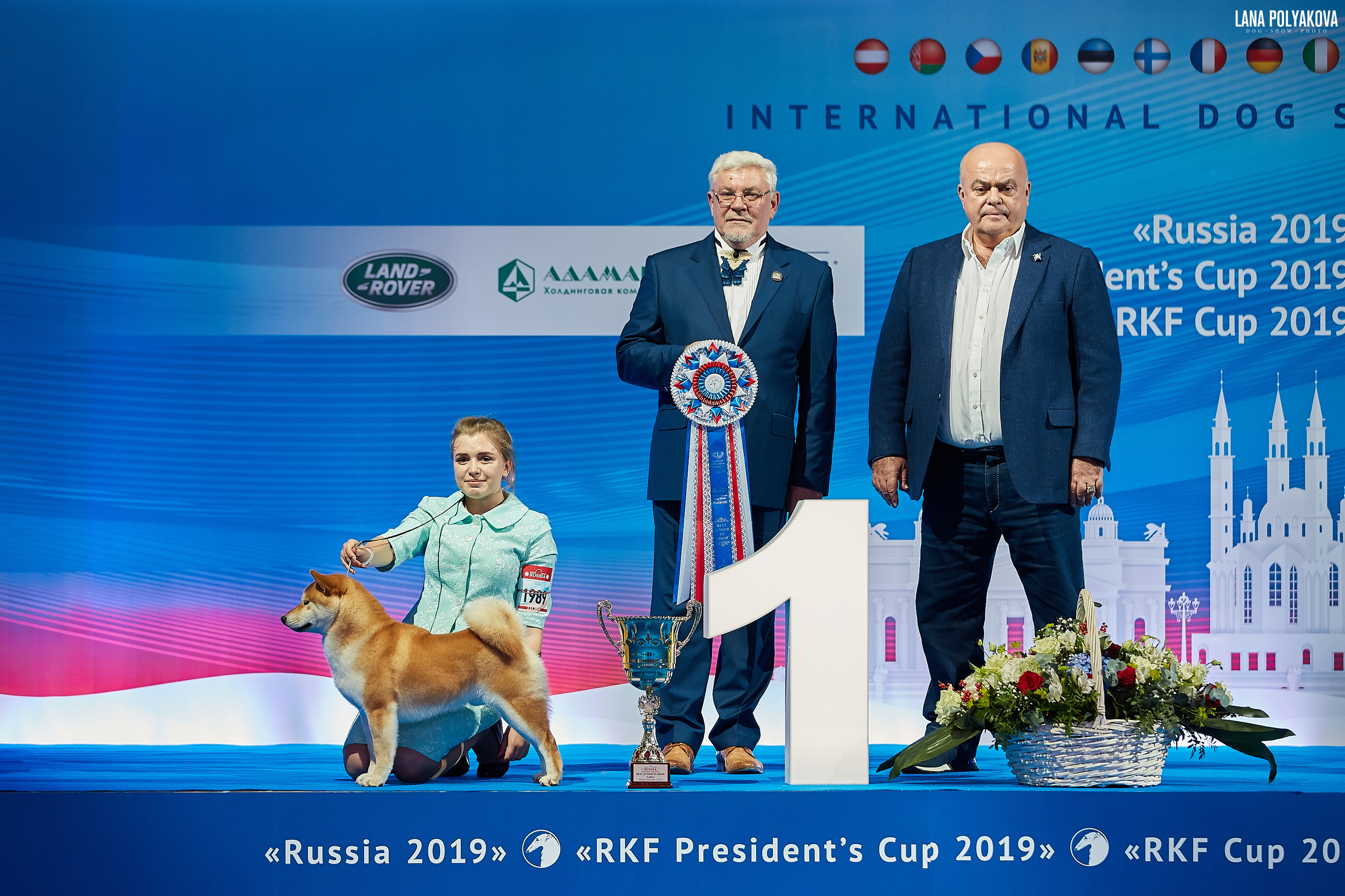 Интернациональные выставки собак (3 x CACIB FCI) «Россия 2019» (квалификация на Crufts),"Кубок Президента РКФ 2019″ и «Кубок РКФ 2019» 2−4 ноября 2019 года Москва, МВЦ «Крокус Экспо», пав. 3 Фотограф: Лана Полякова