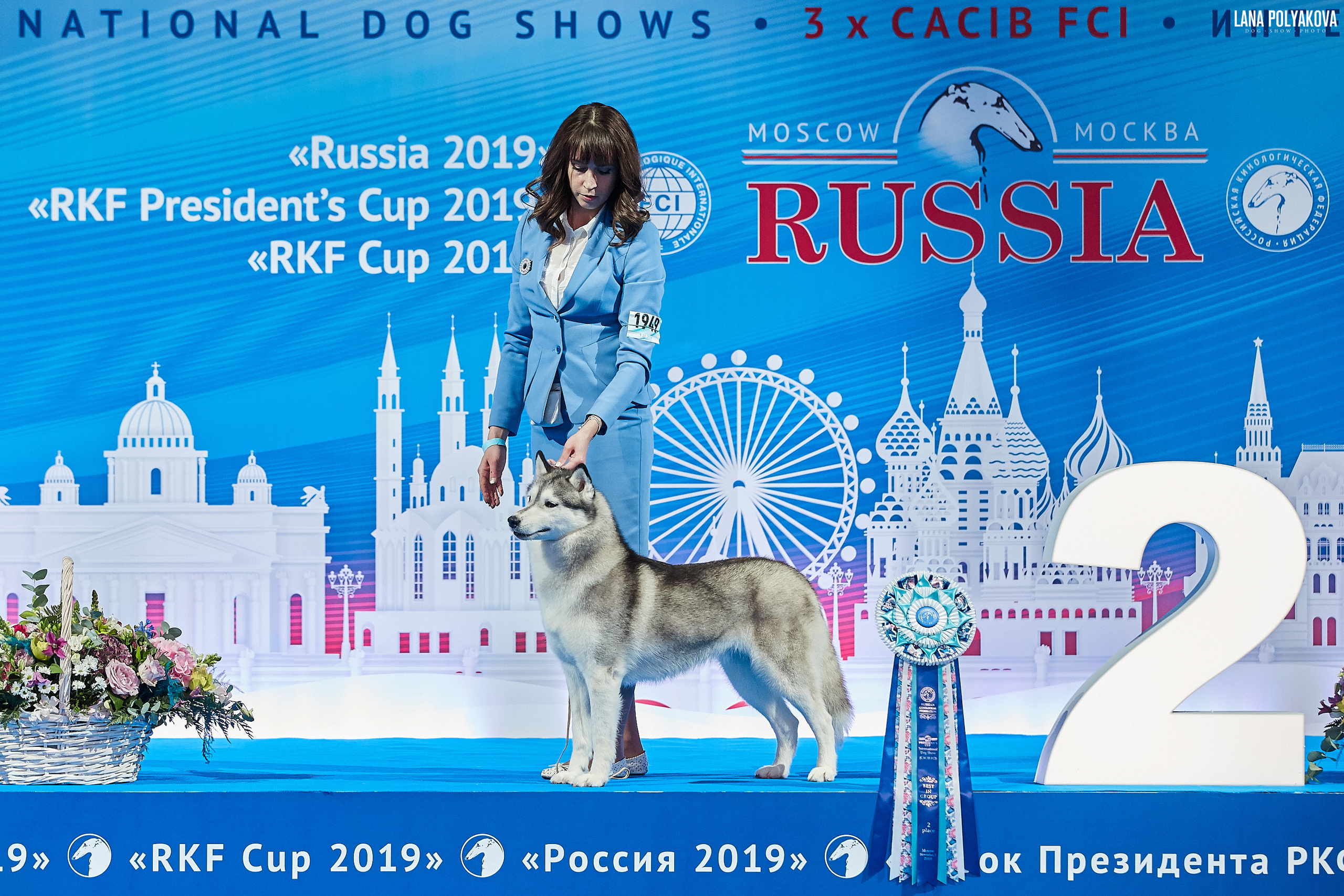 Интернациональные выставки собак (3 x CACIB FCI) «Россия 2019» (квалификация на Crufts),"Кубок Президента РКФ 2019″ и «Кубок РКФ 2019» 2−4 ноября 2019 года Москва, МВЦ «Крокус Экспо», пав. 3