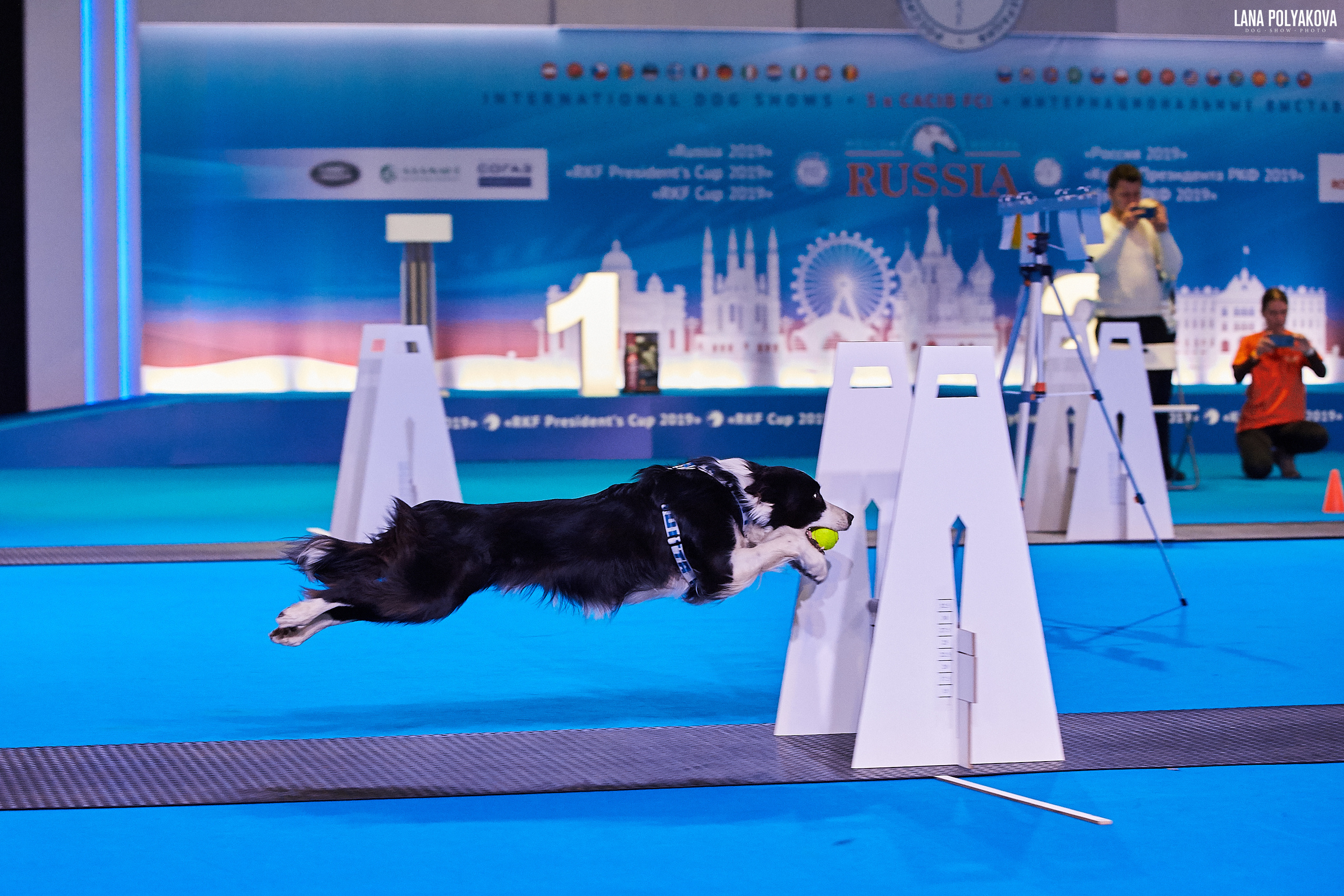 Интернациональные выставки собак (3 x CACIB FCI) «Россия 2019» (квалификация на Crufts),"Кубок Президента РКФ 2019″ и «Кубок РКФ 2019» 2−4 ноября 2019 года Москва, МВЦ «Крокус Экспо», пав. 3