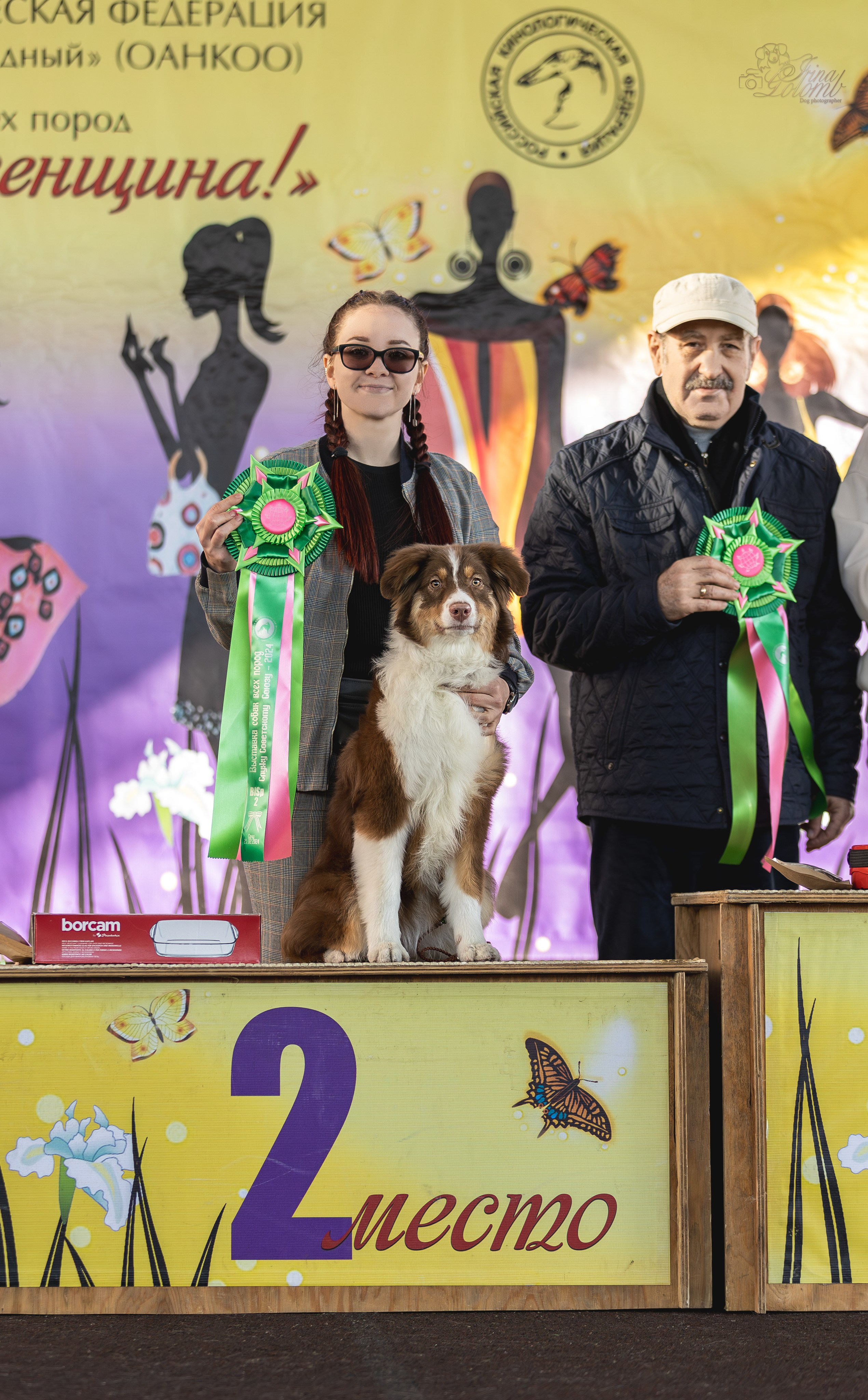Выставка 25.02.2024. Ирина Голомб|Фотограф-анималист в  Сочи и Калининграде