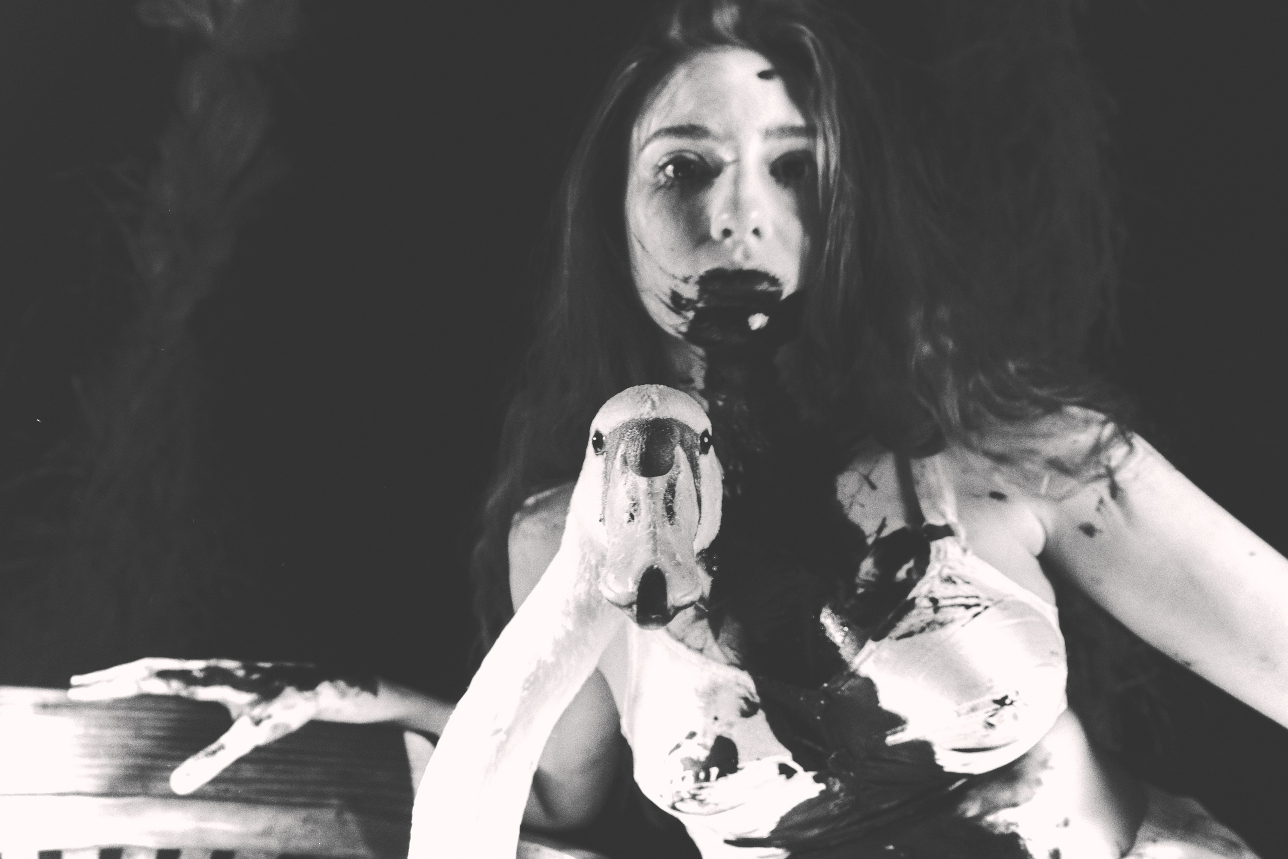 Гуси Лебеди. Фотограф Настя Лев