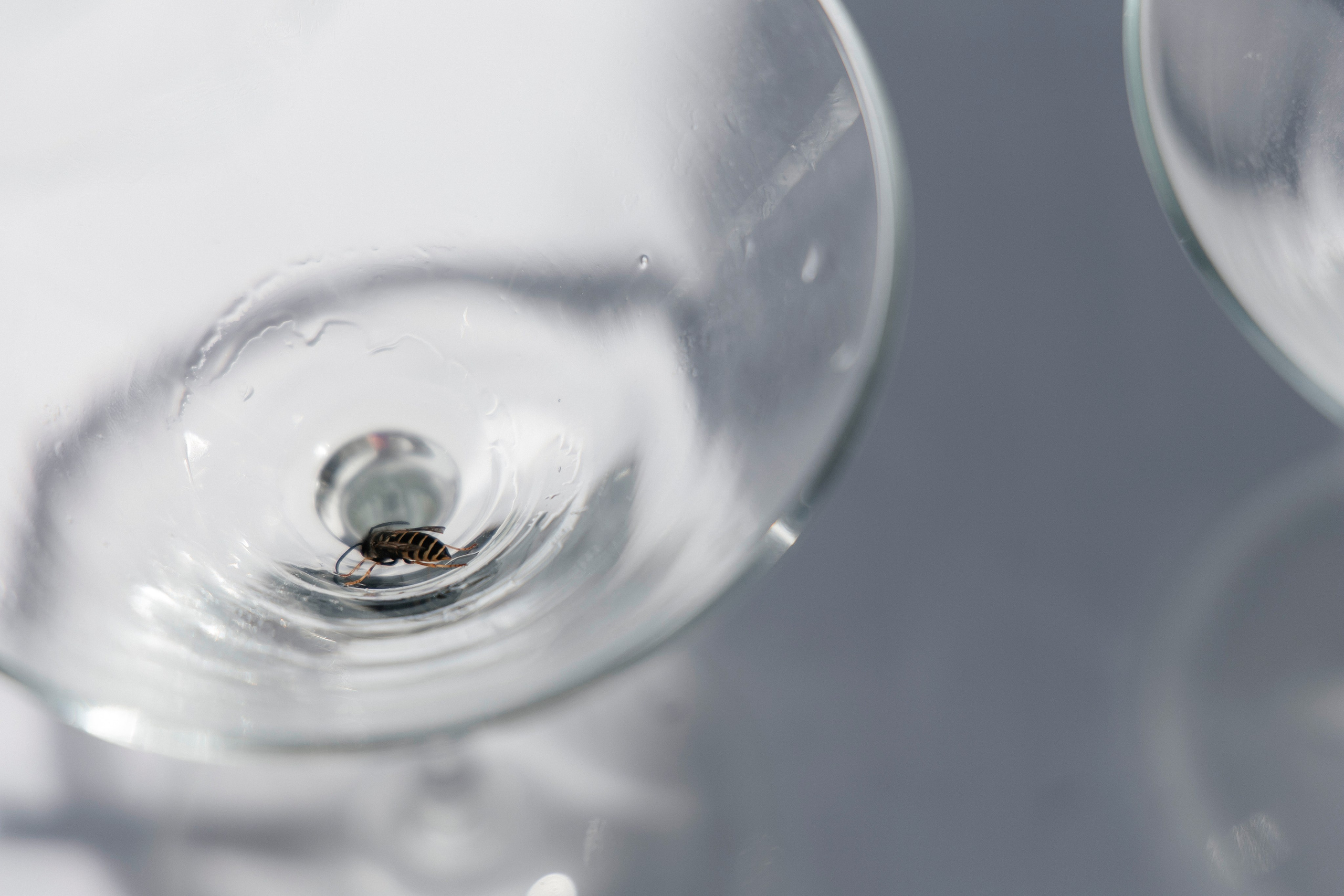 Ольга и Павел. Фотограф в Обнинске и Калуге Анастасия Антохина