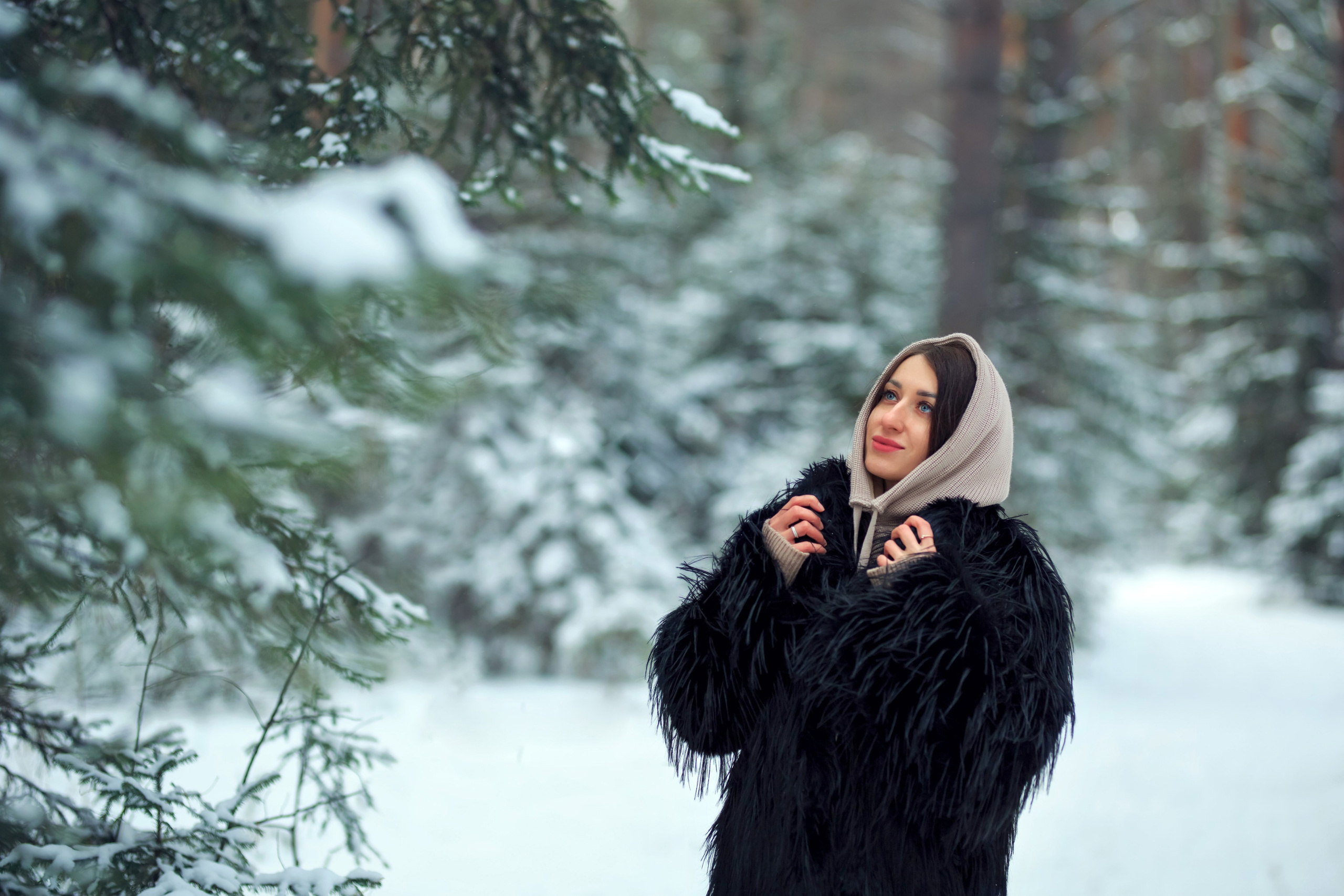 Зимний лес. Сайт