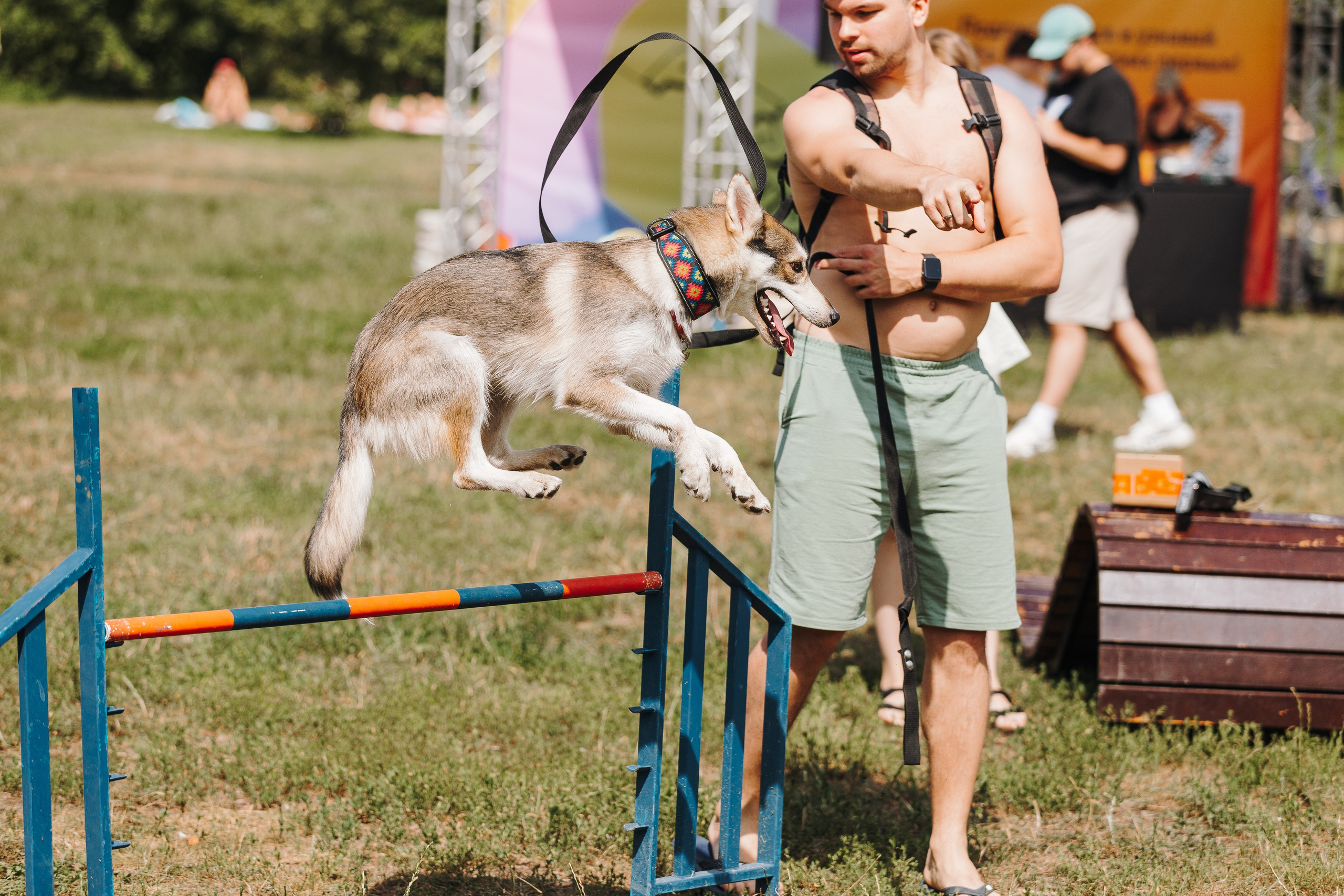 Petshop Sup day. Фотограф анималист Кристина Карпова, Москва