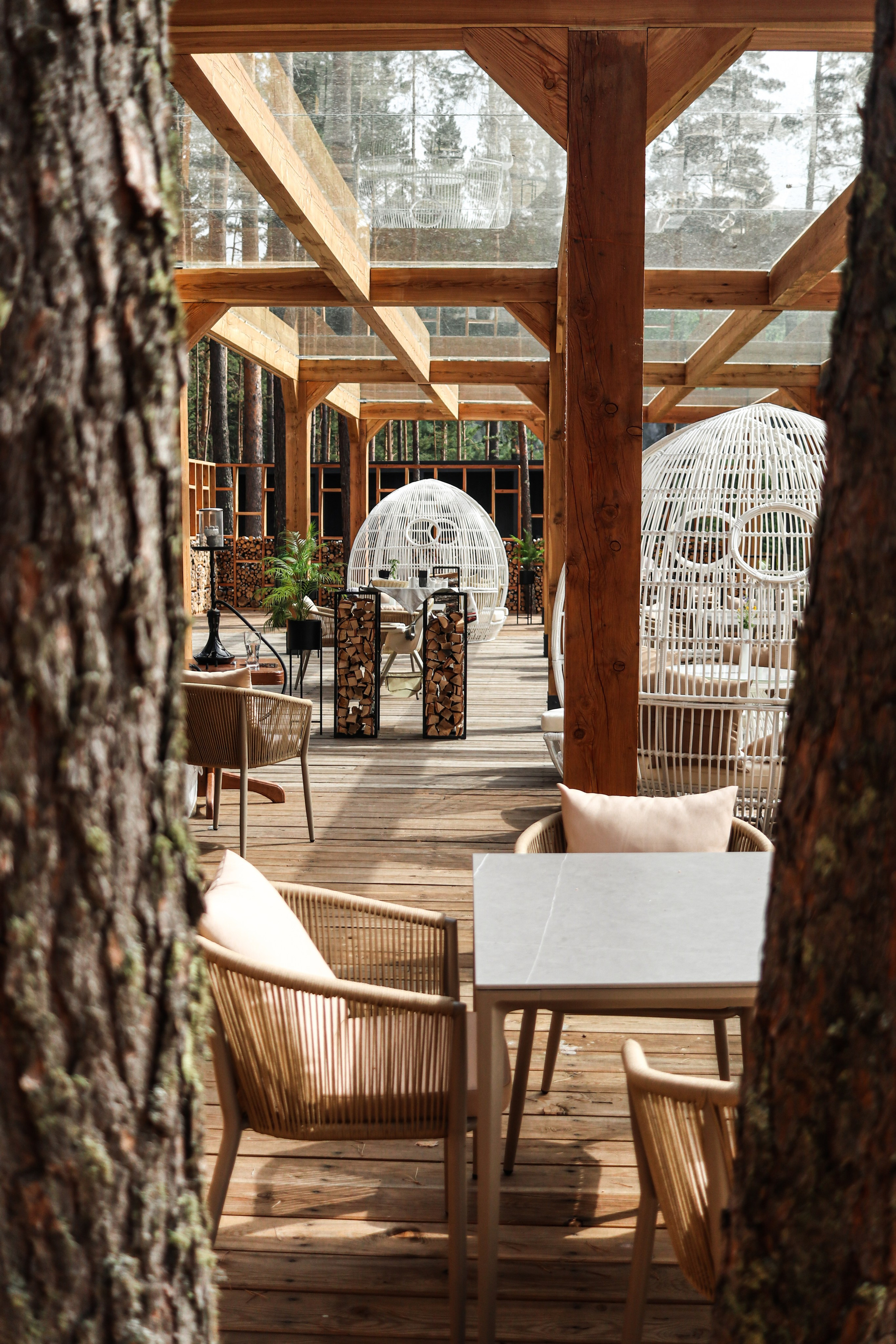 «Pinewood» парк-отель, респ. Алтай. Контент фотограф Дмитрий Борисов