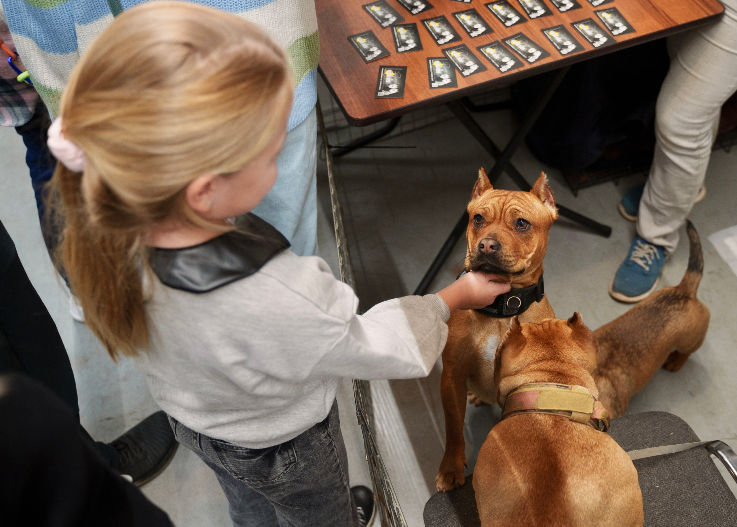 Репортажная съемка. Главная