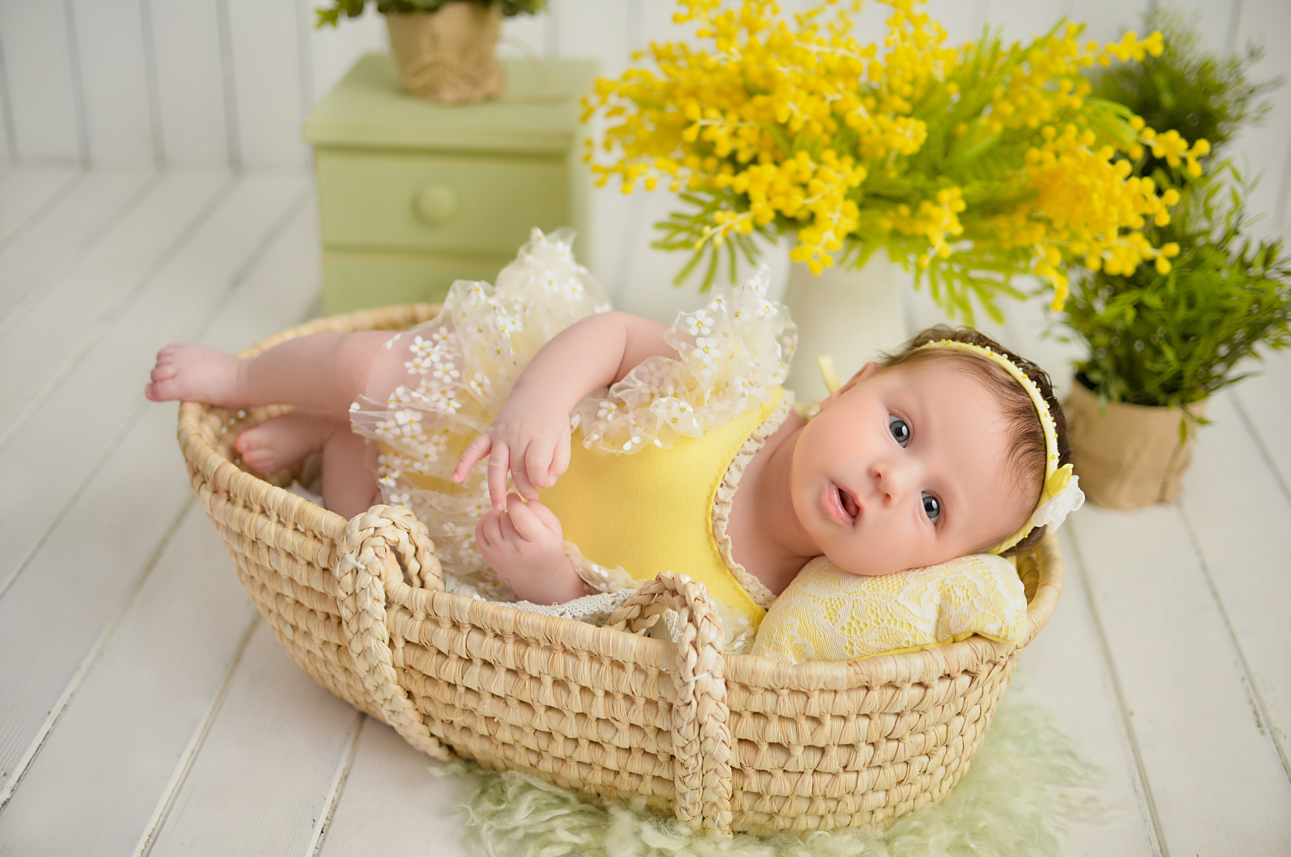 Фотосессия новорожденных в Краснодаре. Фотограф новорожденных Краснодар Малышенко Надежда