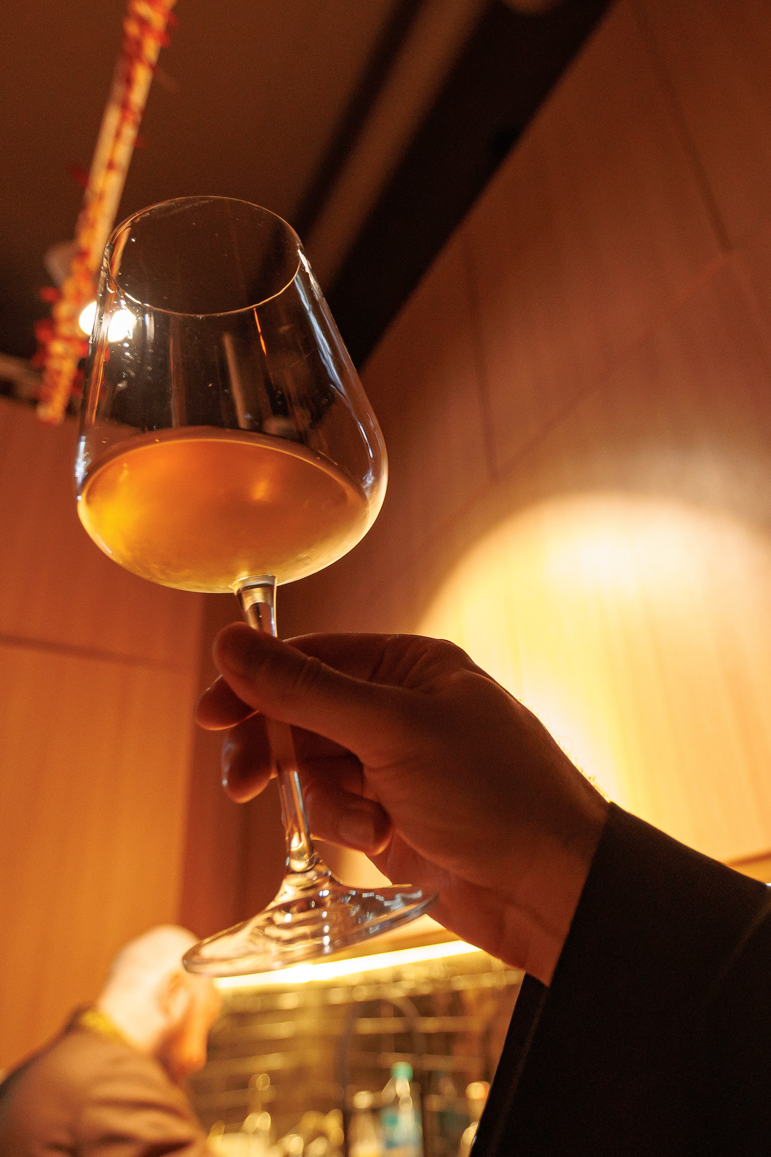 Гастроужин Поселенцы в гостях у Самозванцев