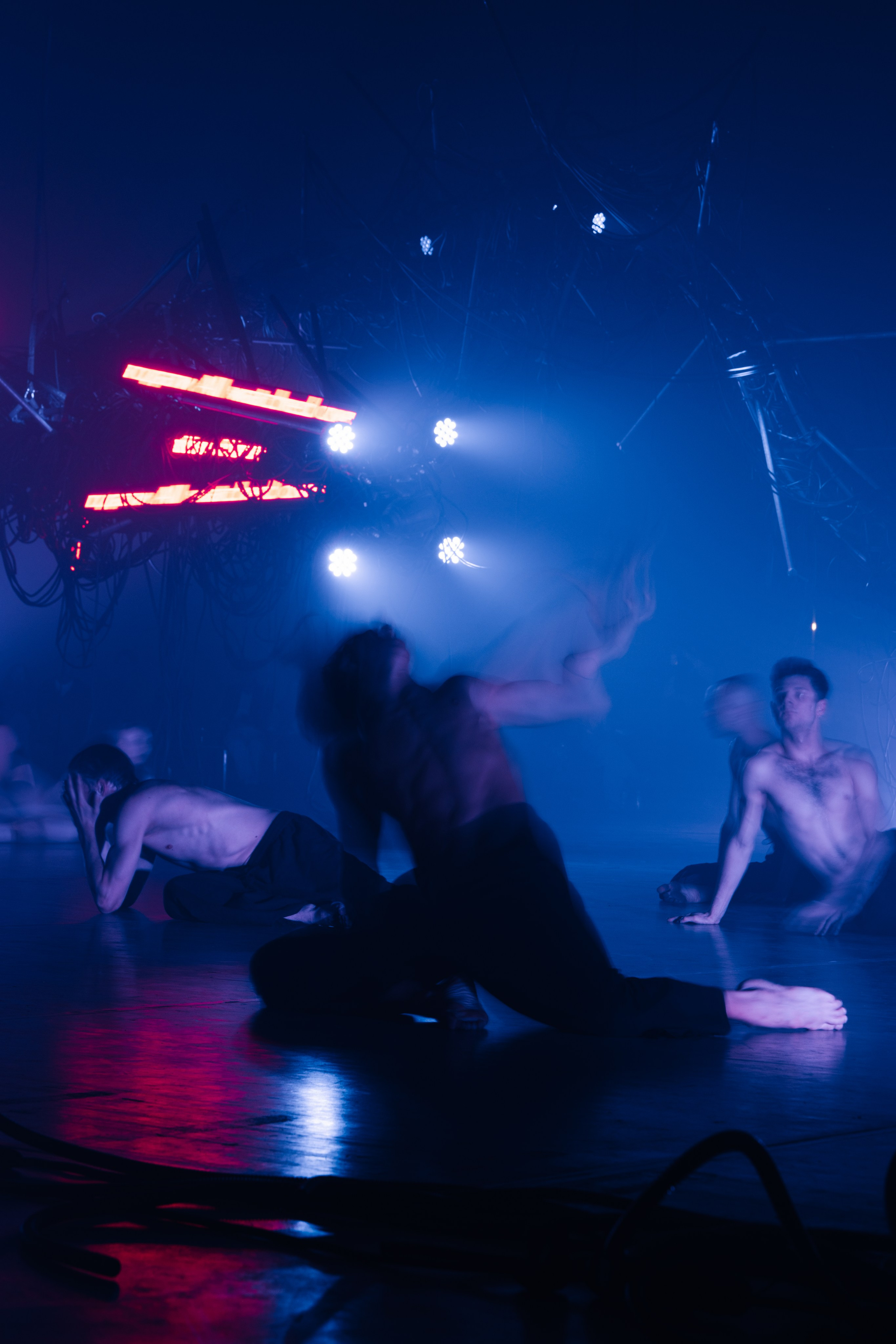 PERFORMA, The Hour of the Horse. @tomrus: Рустам Шагиморданов — фотограф